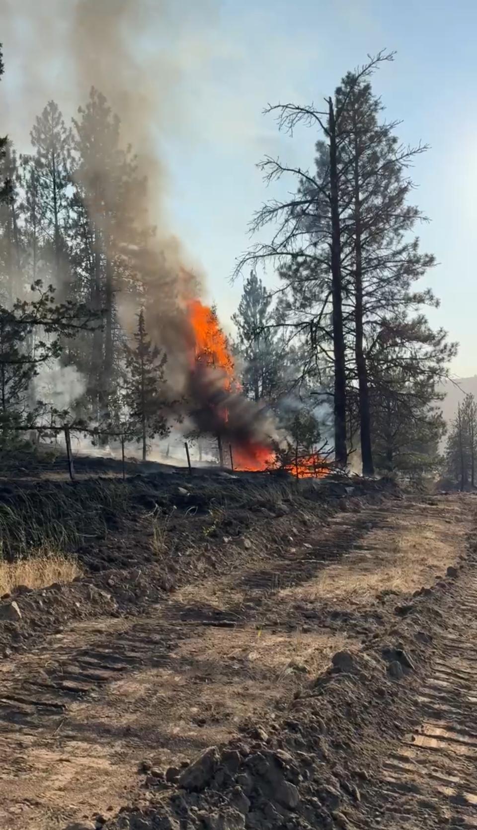 Fire effects on the Lone Rock Fire