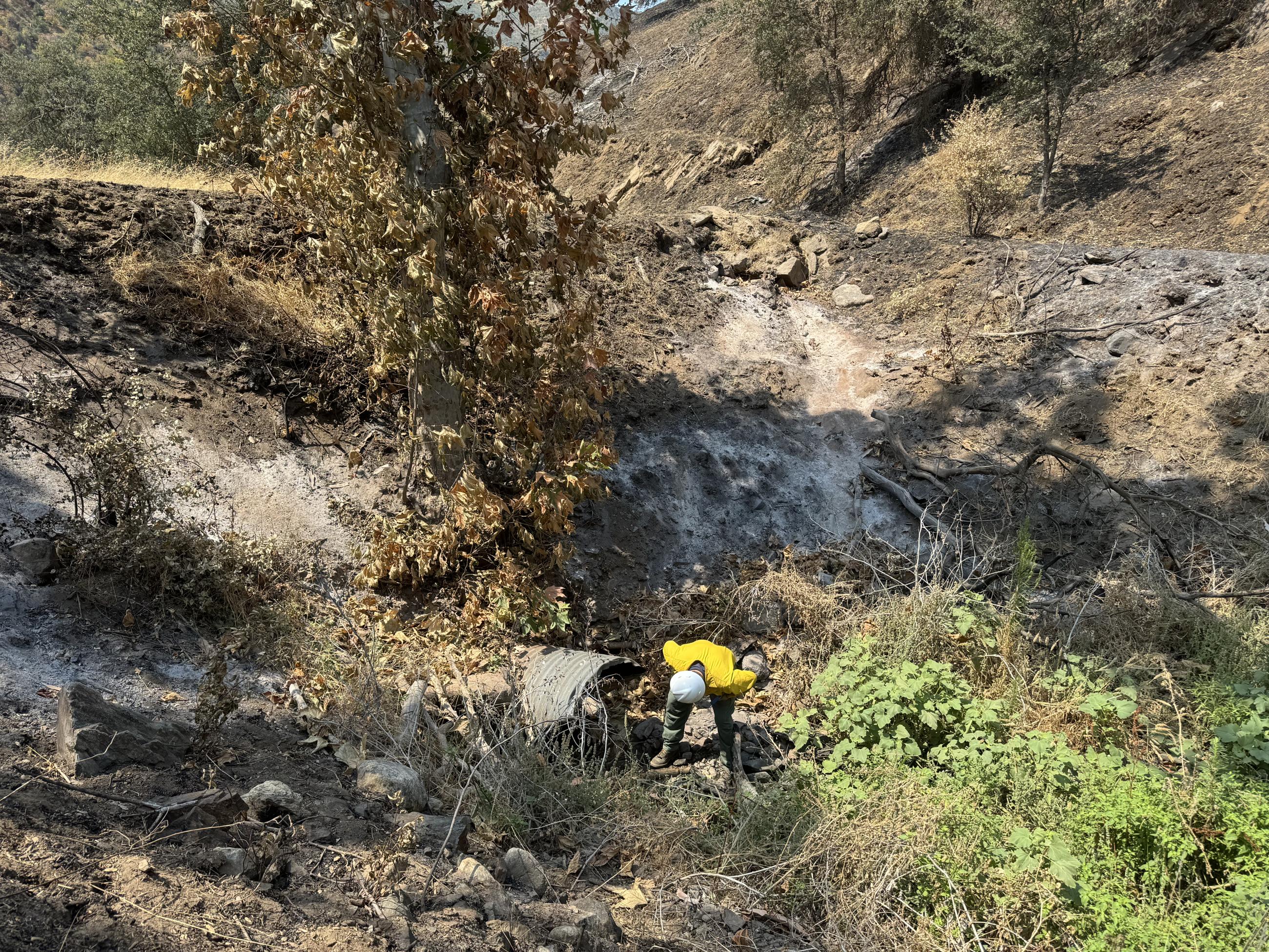 Image showing BAER Engineer Assessing Road Culvert in Basin Burned Area