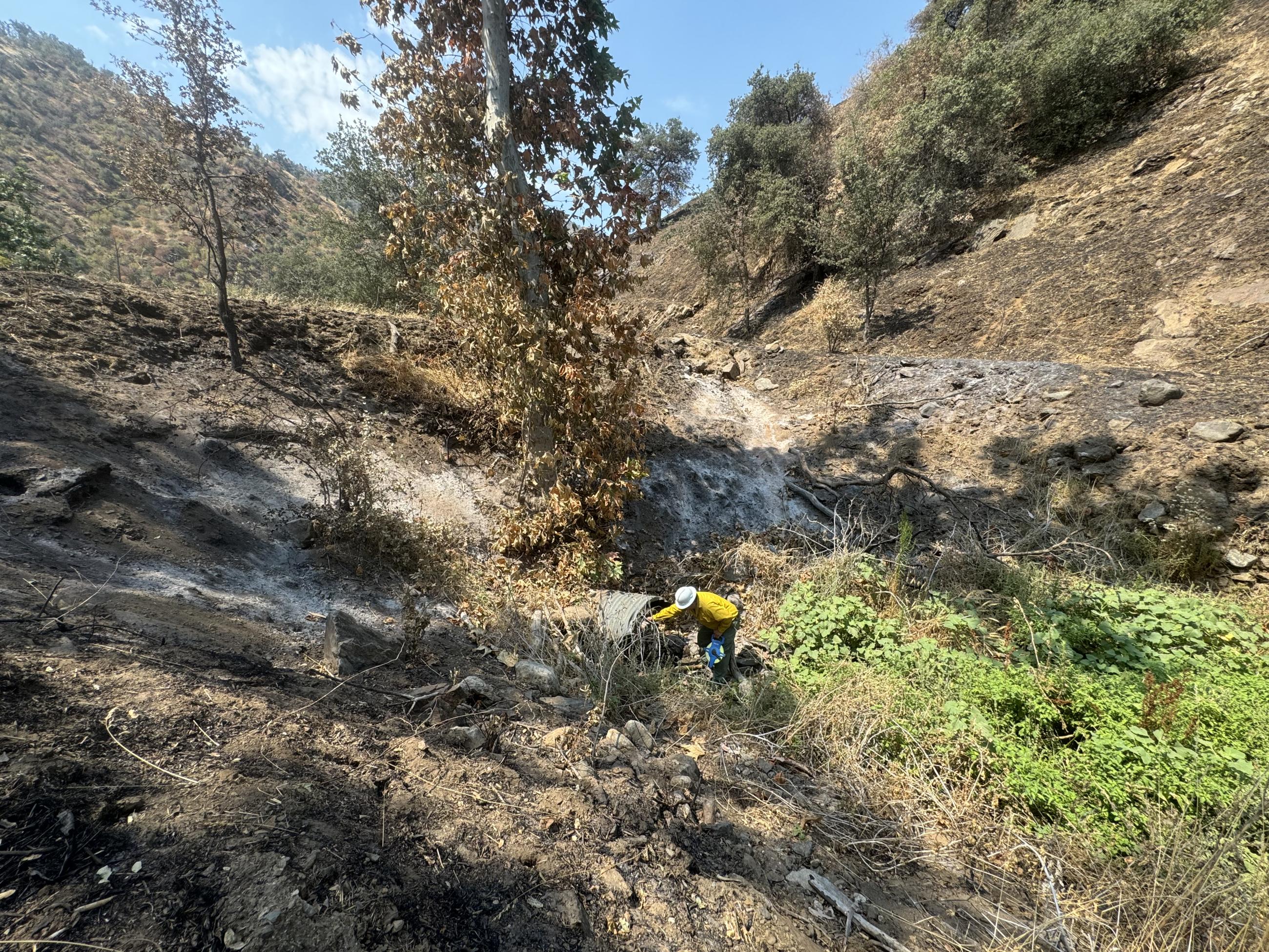 Image showing BAER Engineer Assessing Road Culvert in Basin Burned Area