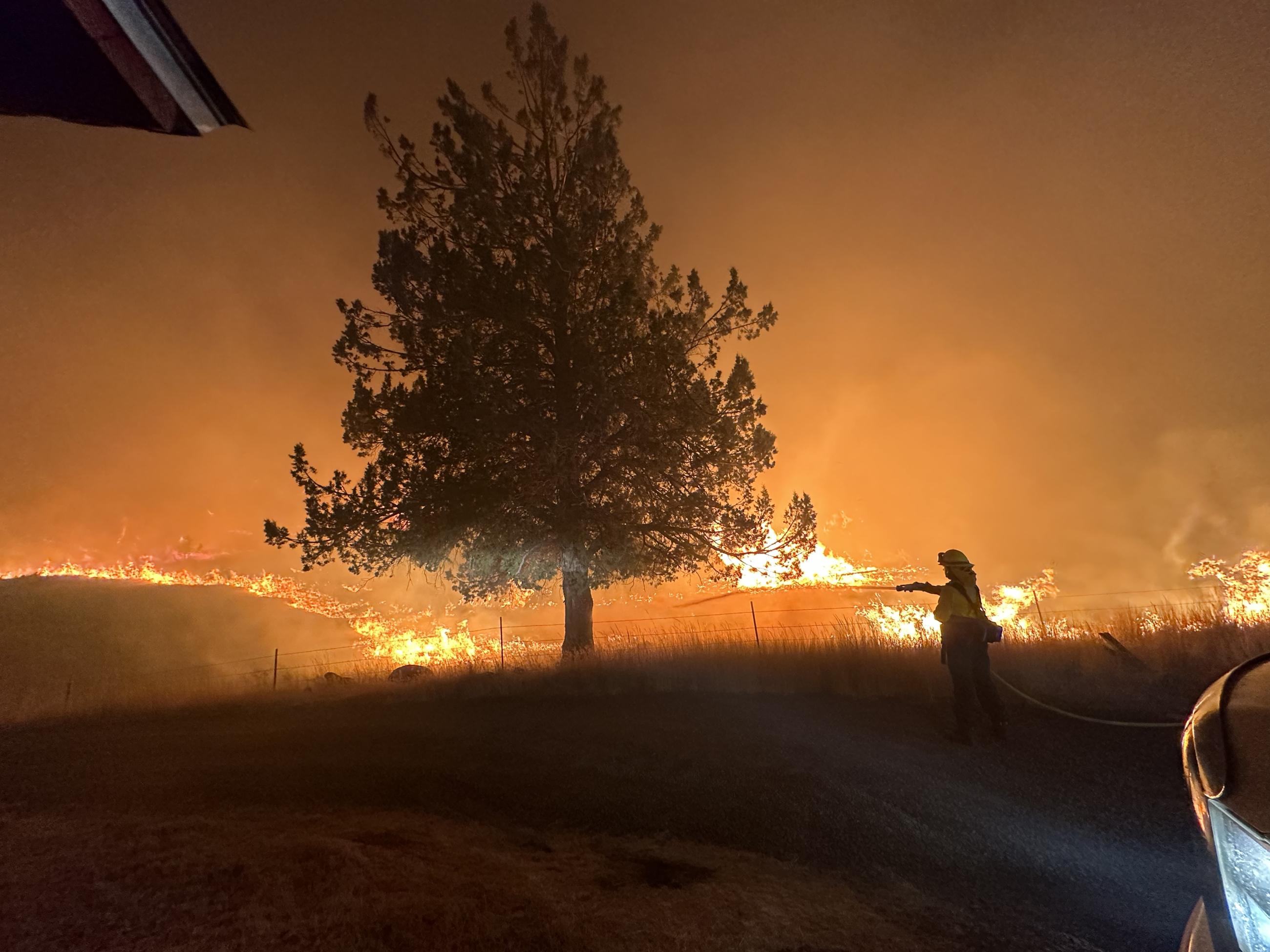 Firefighter water down tree during night firing operations on the Lone Rock Fire