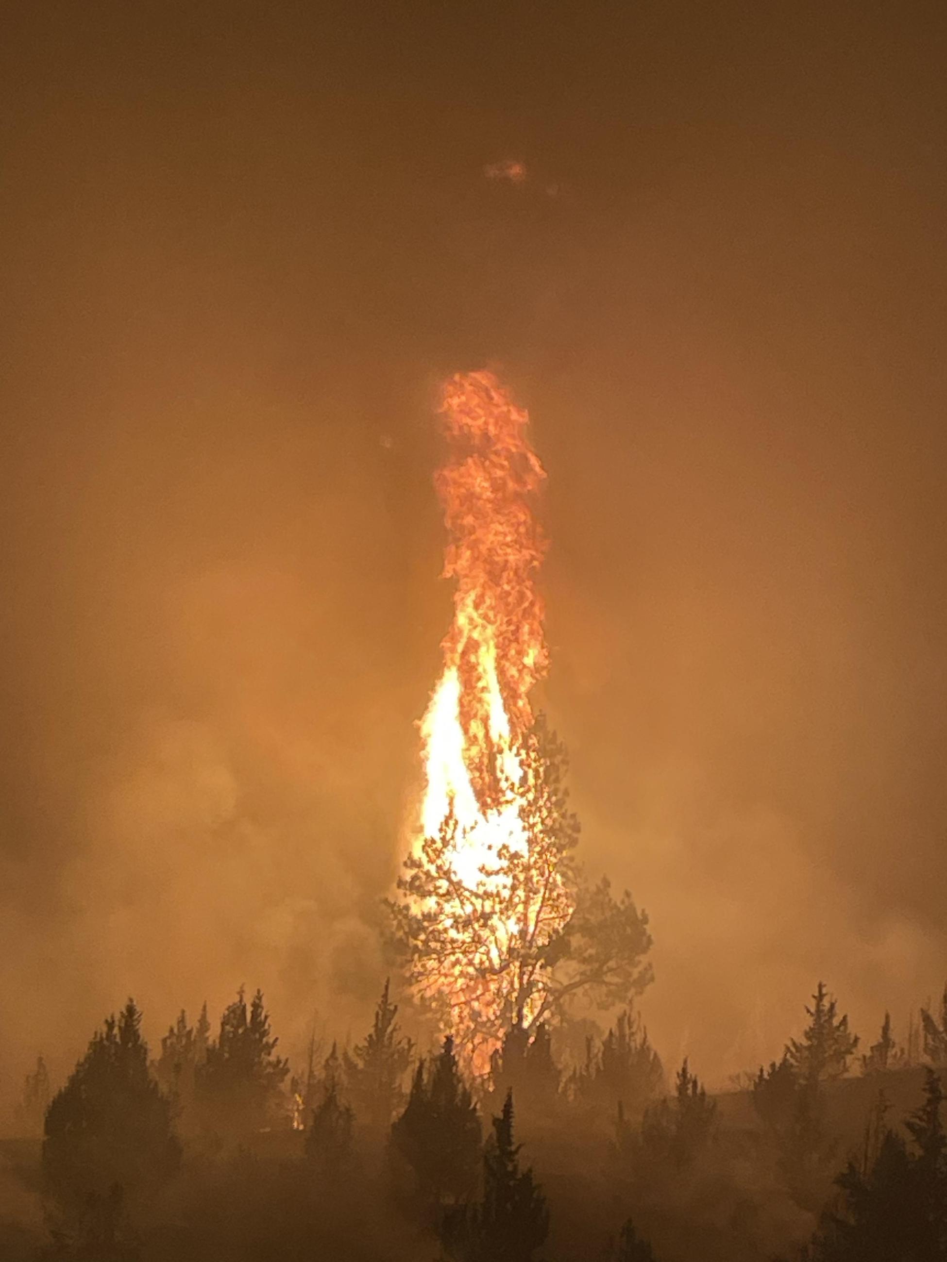 Tree Torching during night firing operations on the Lone Rock Fire