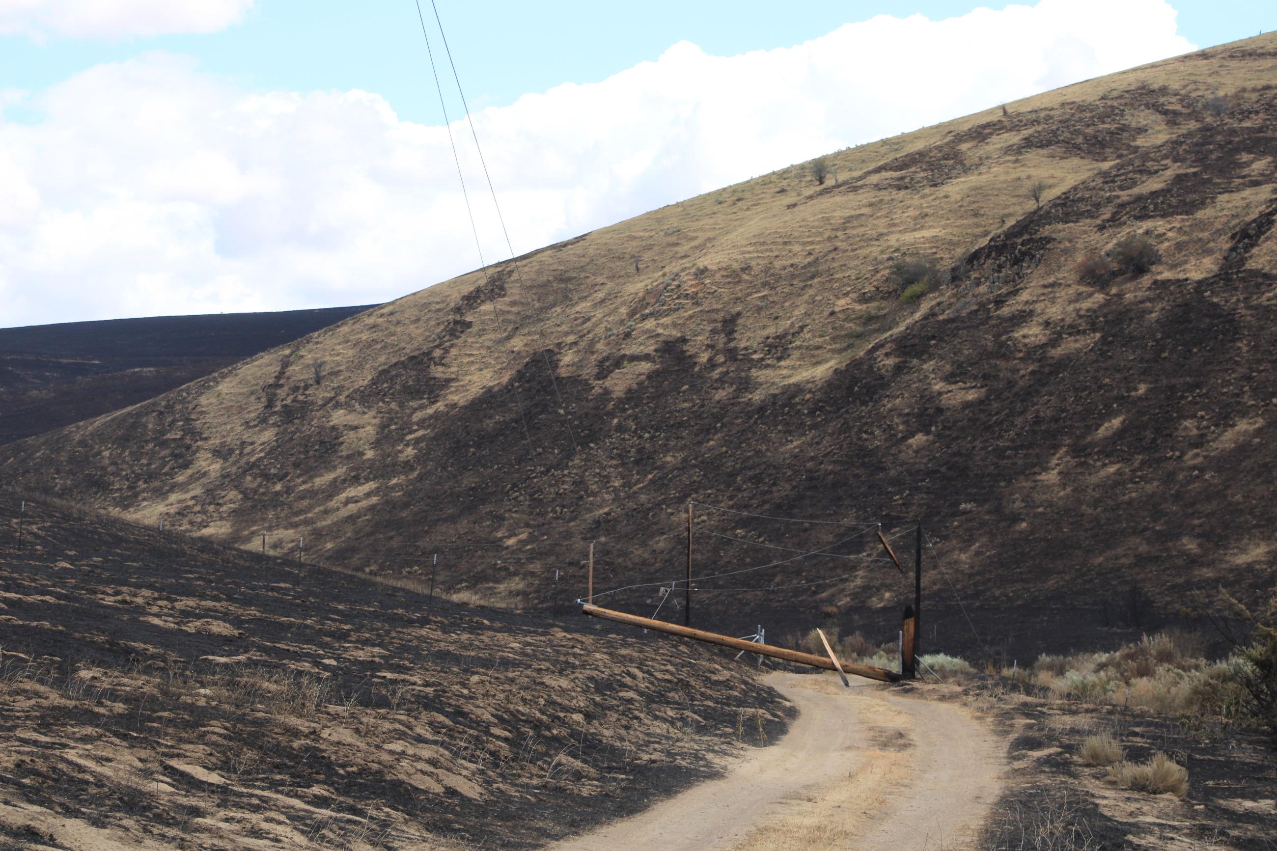 Lower Granite Fire_ Burn scar with downed power transmission line