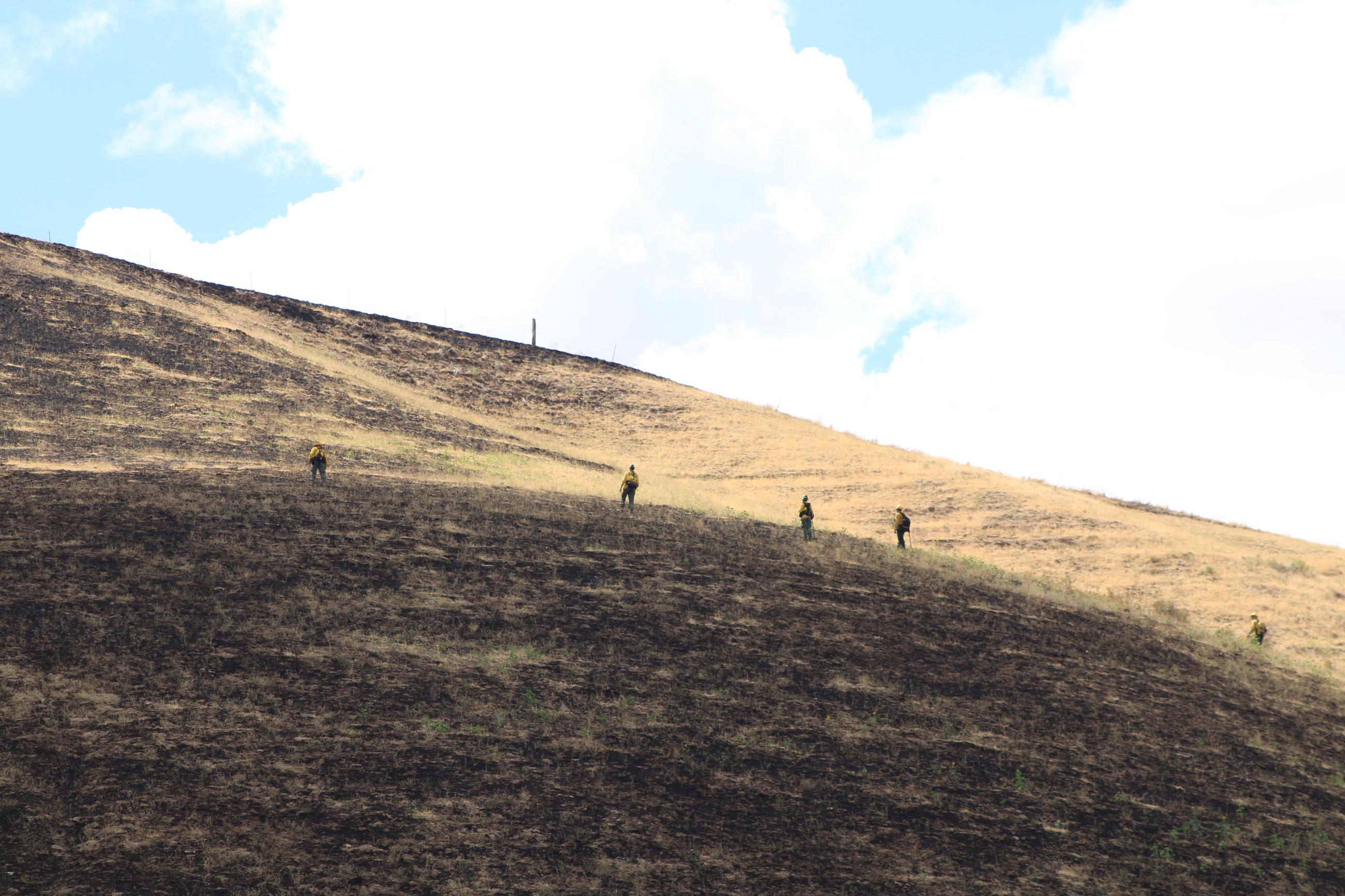 Lower Granite Fire Strike team 