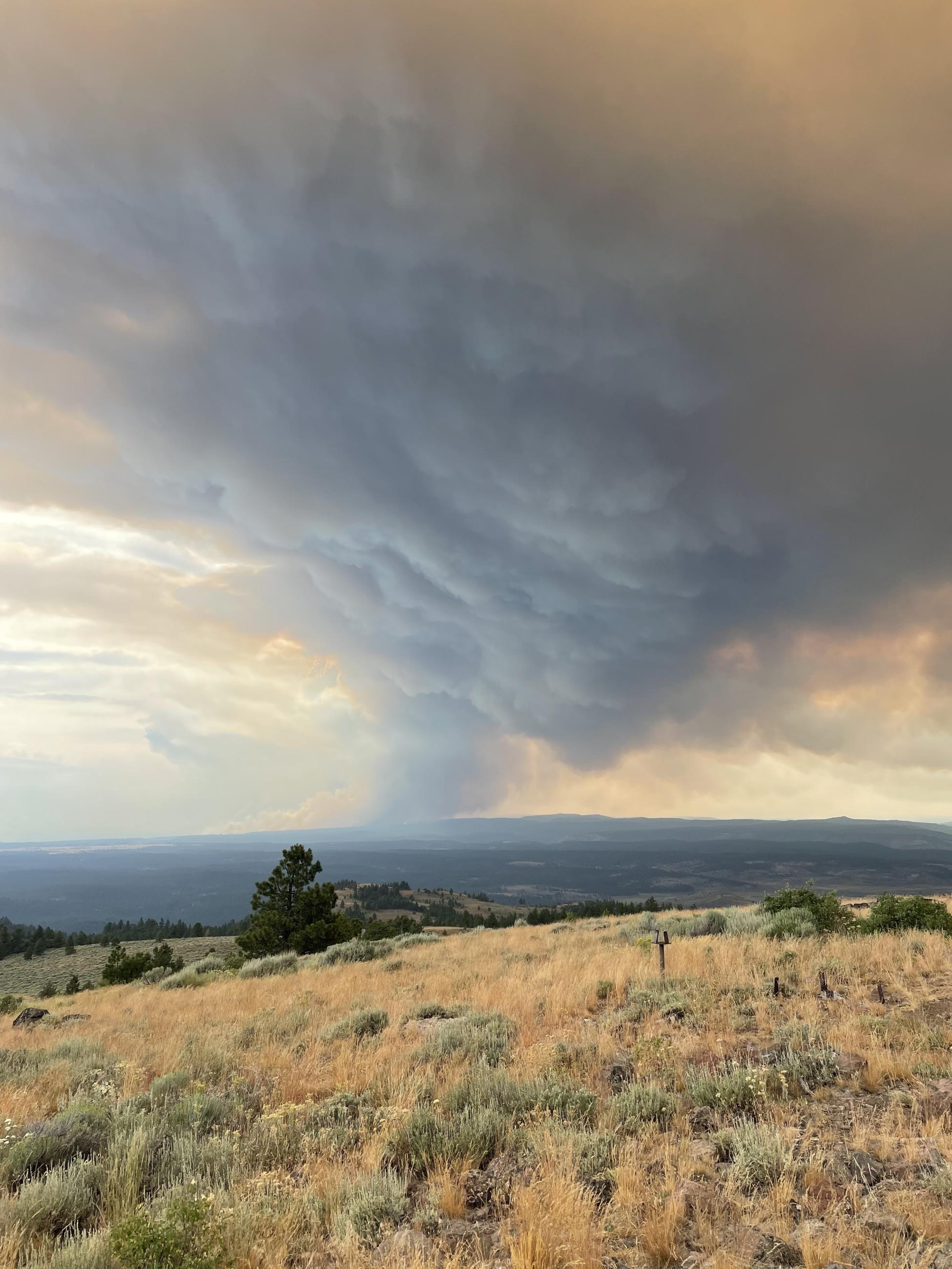 Falls Fire column, as seen from the King Mountain Lookout.