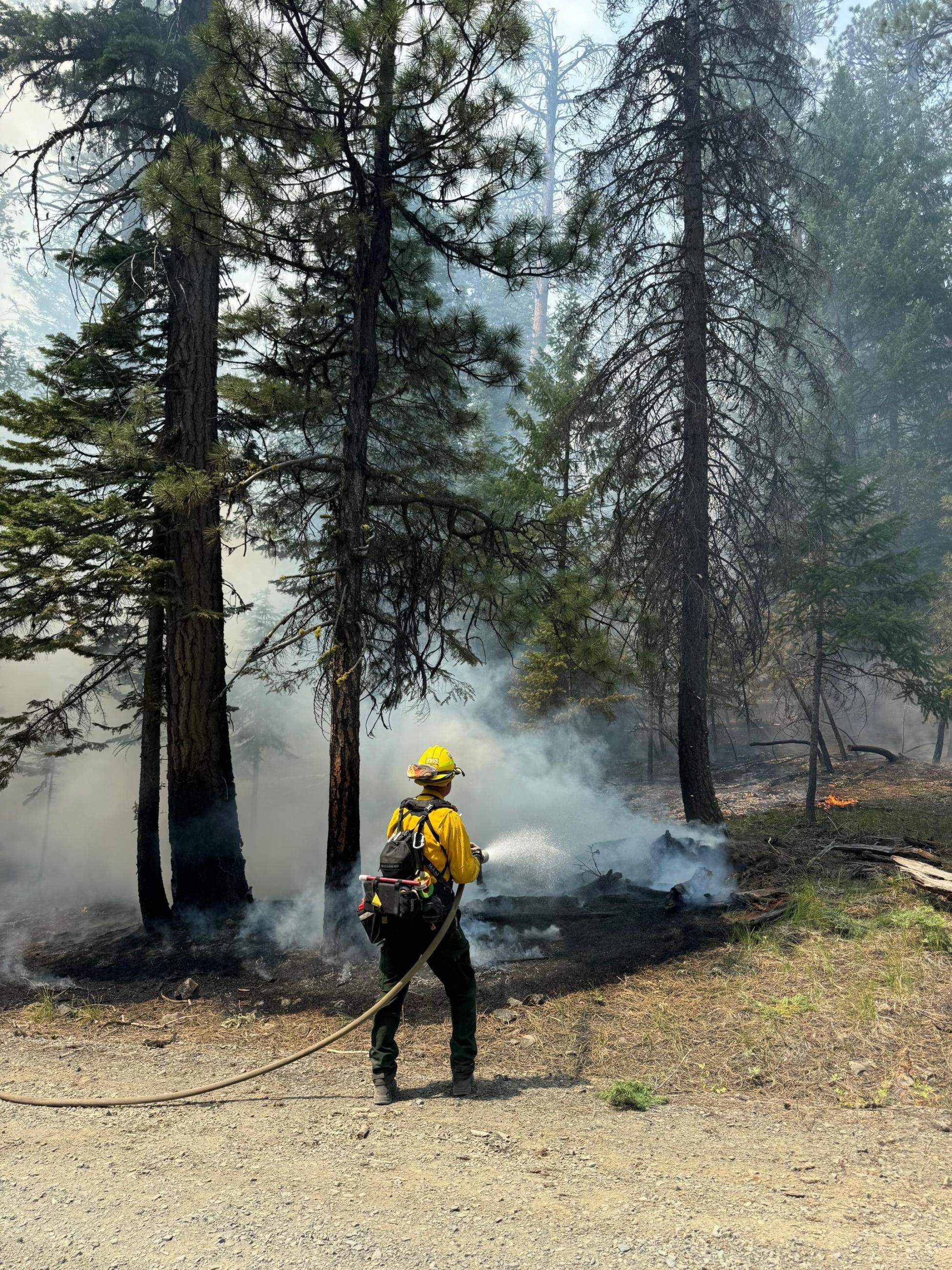 firefighter hosing down tree, smoke, water