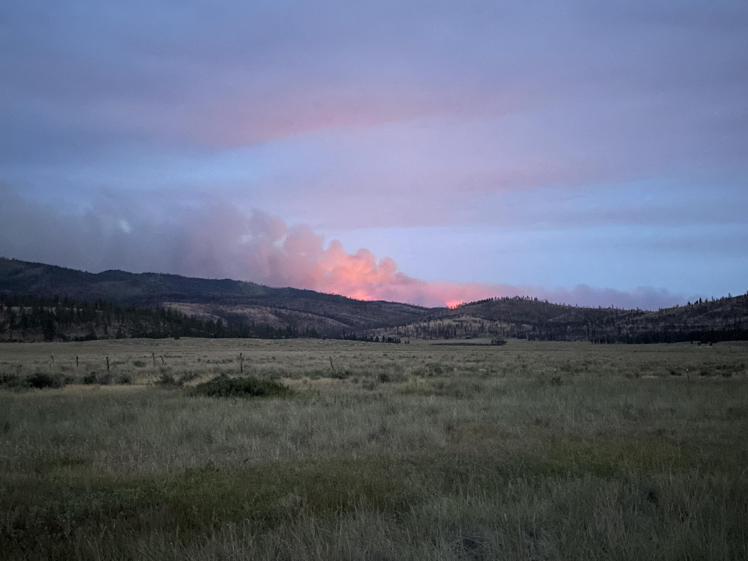 a field of grass and sage brush in the fore ground with a pink glow from a fire in the clouds over mountains in the background 