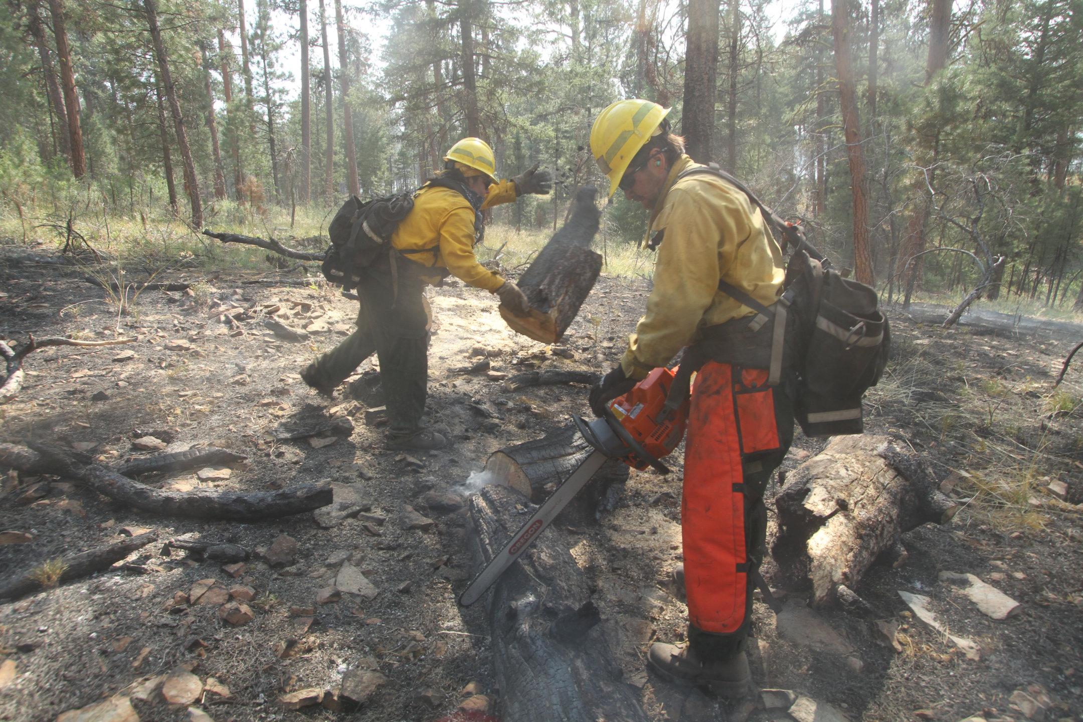 Sawyer Cuts Burning Log, Swamper Throws Round Cut Log.