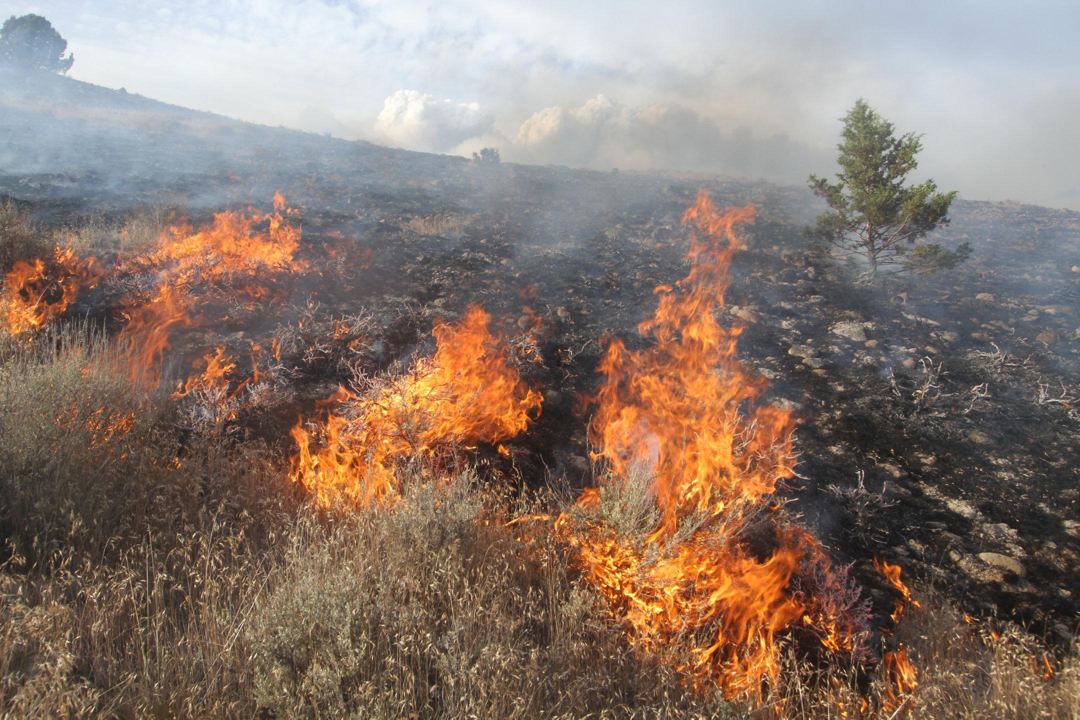 Flanking Fire on Div O, July 17, 2024