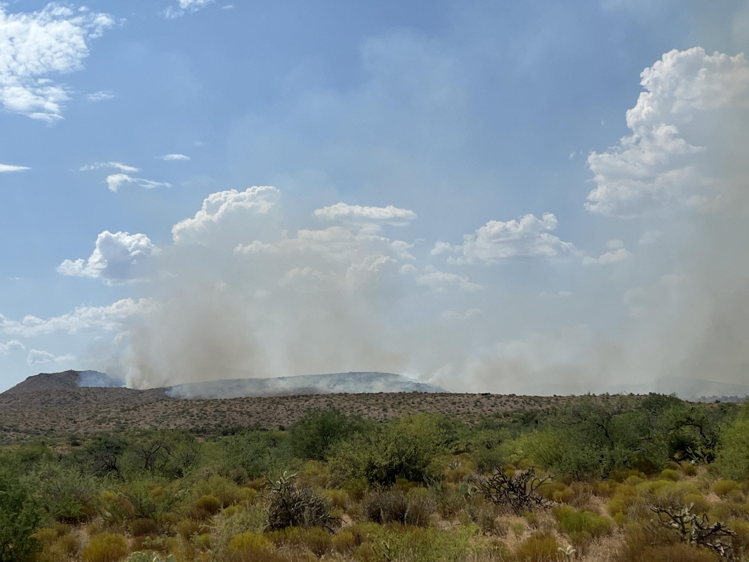 View of smoke rising against cloudy blue sky. Desert vegetation in foreground