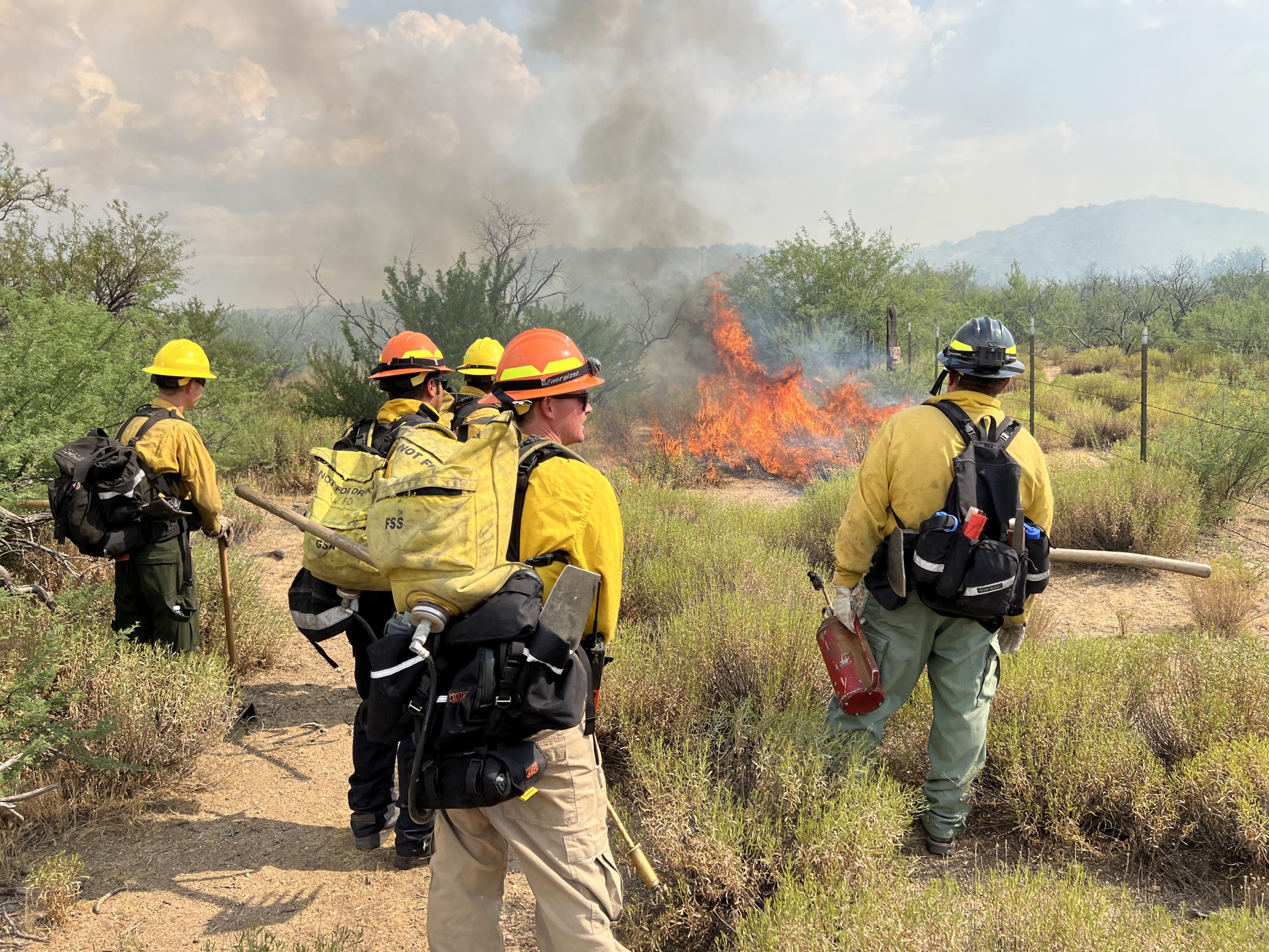 Multiple firefighters observe fire behavior during firing operations