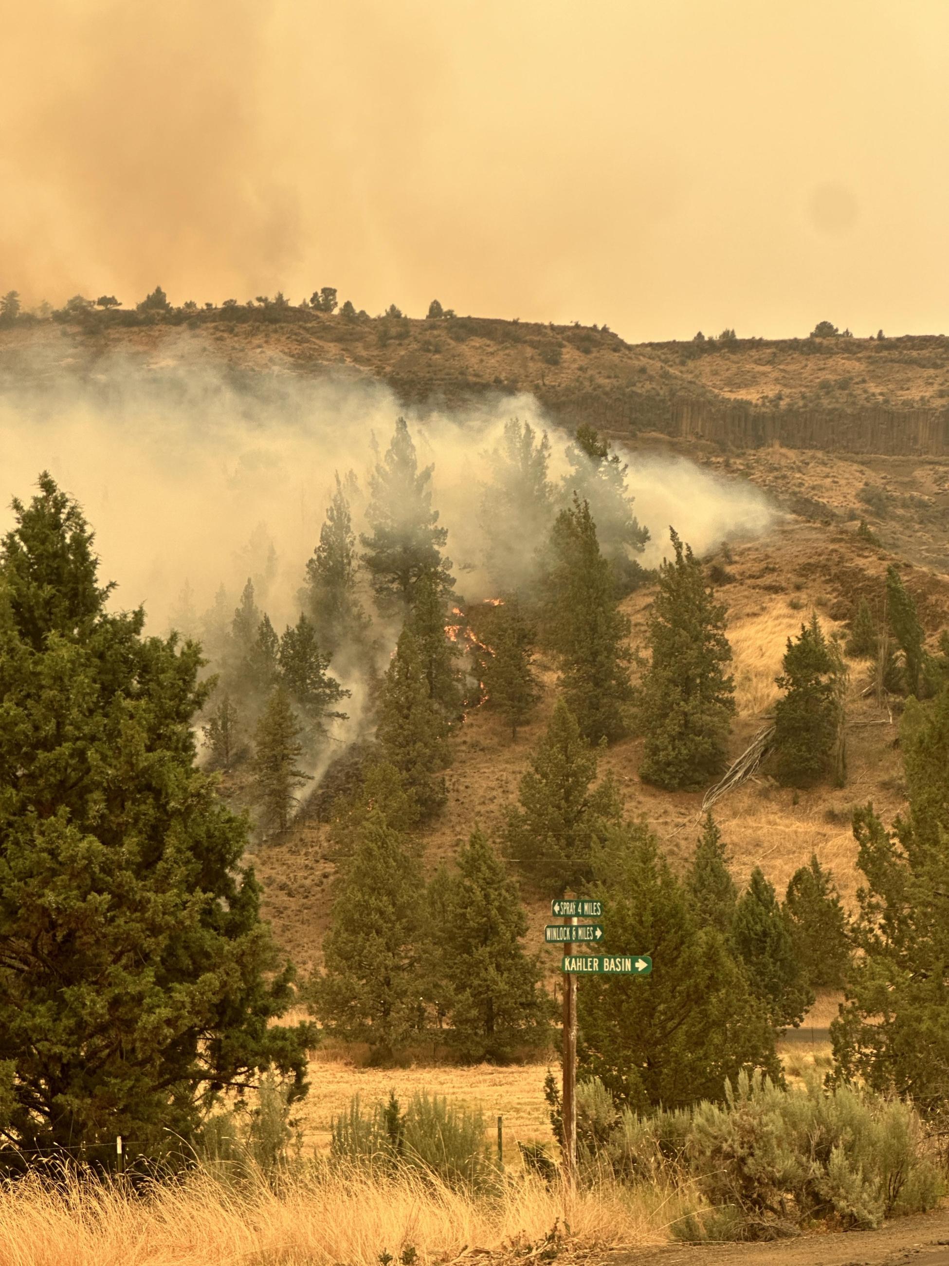 A fire is burning with a white smoke column and a road sign in the foreground