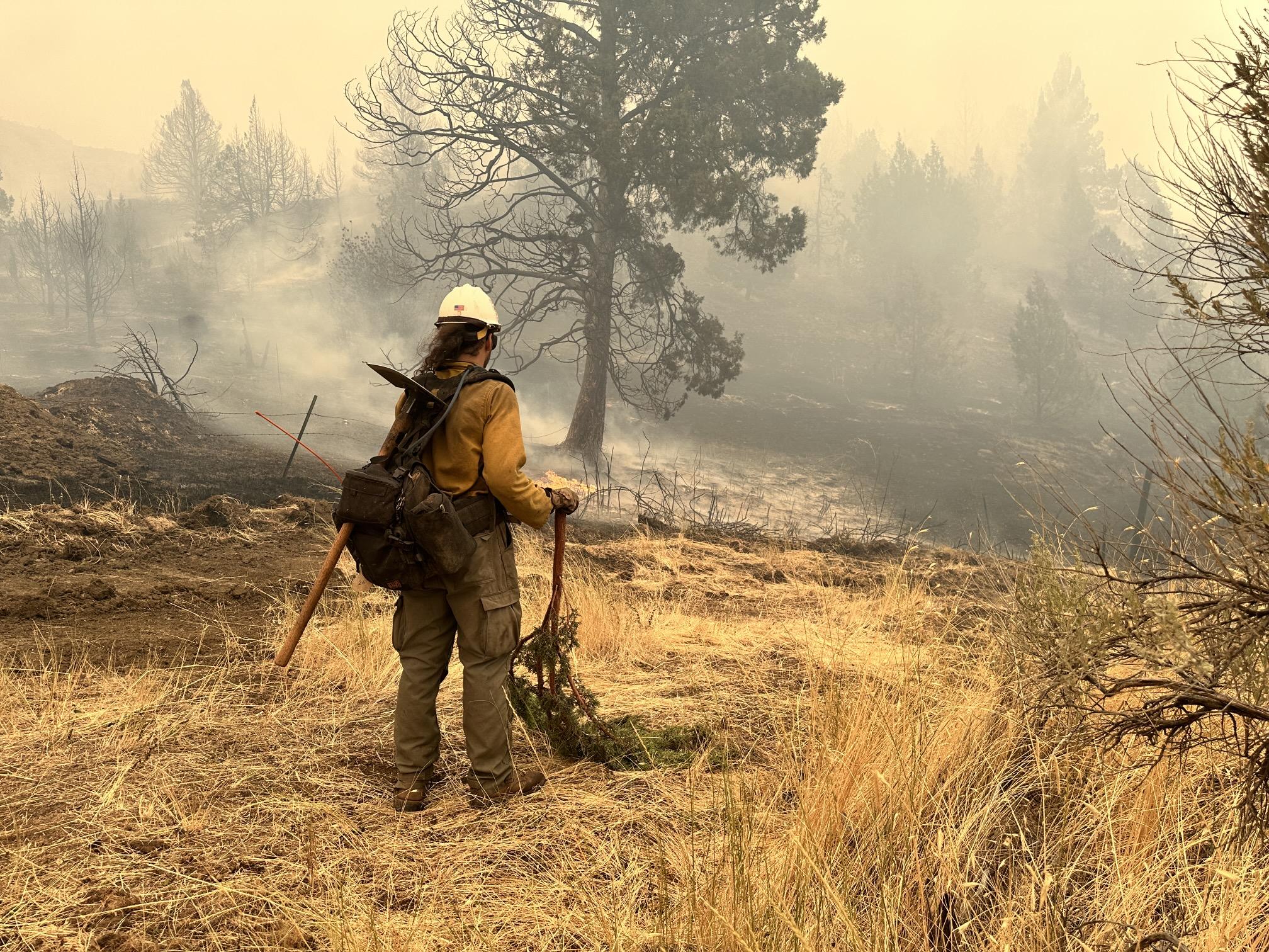 A Firefighter hold a juniper bough while standing along the Lone Rock Fire's edge