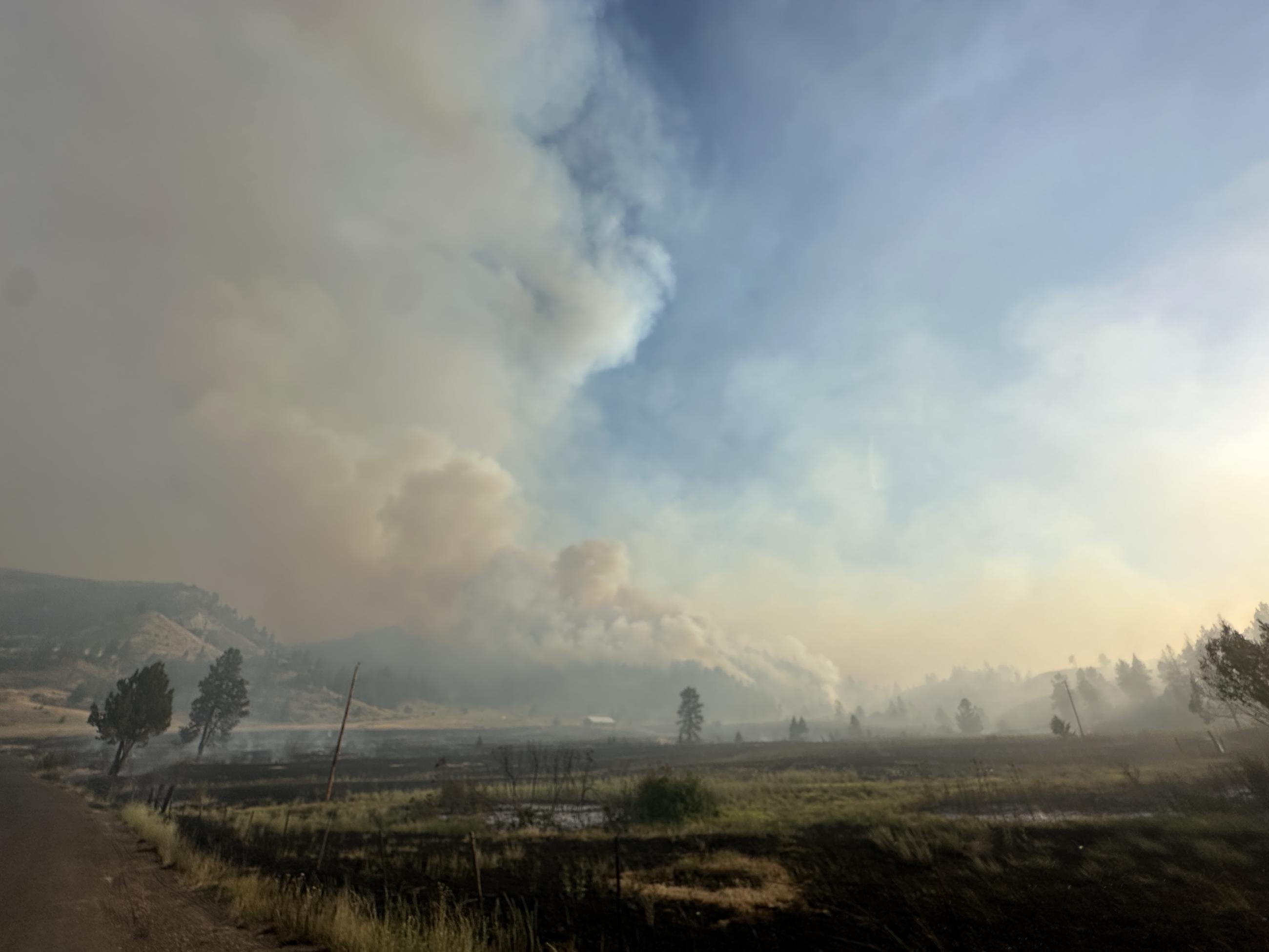 Trees Torching on Lone Rock Fire