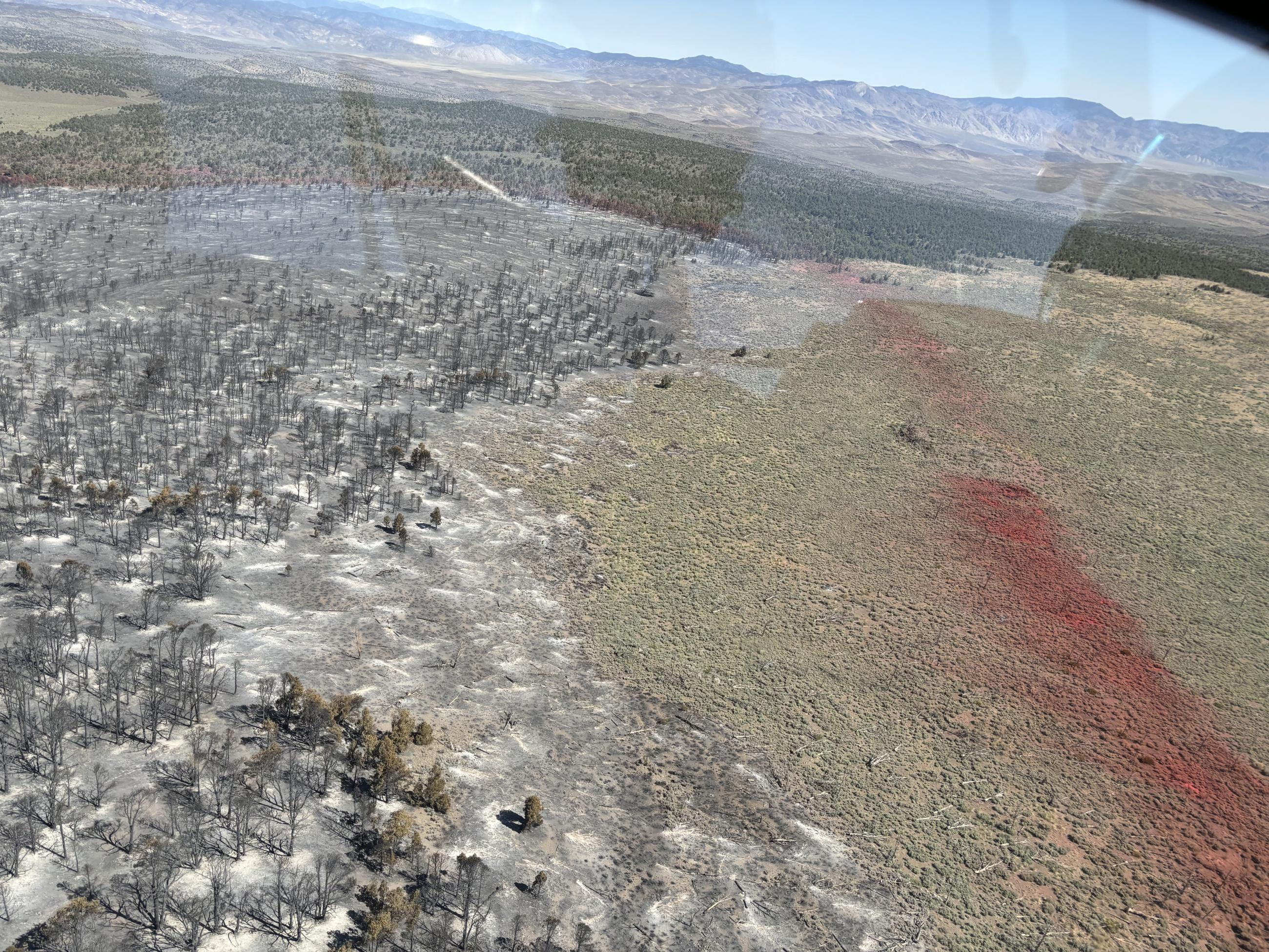 View of trees, smoke, and strip of fire retardant from above.