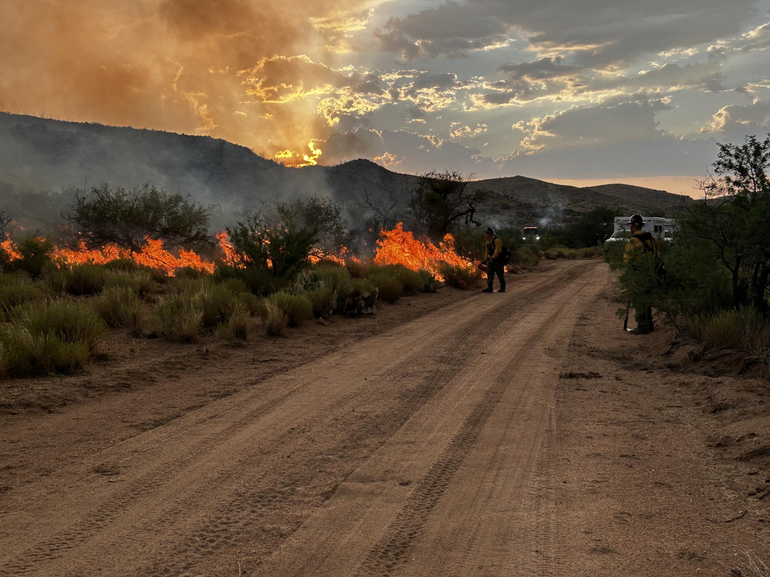 Firefighter burning vegetation along dirt road