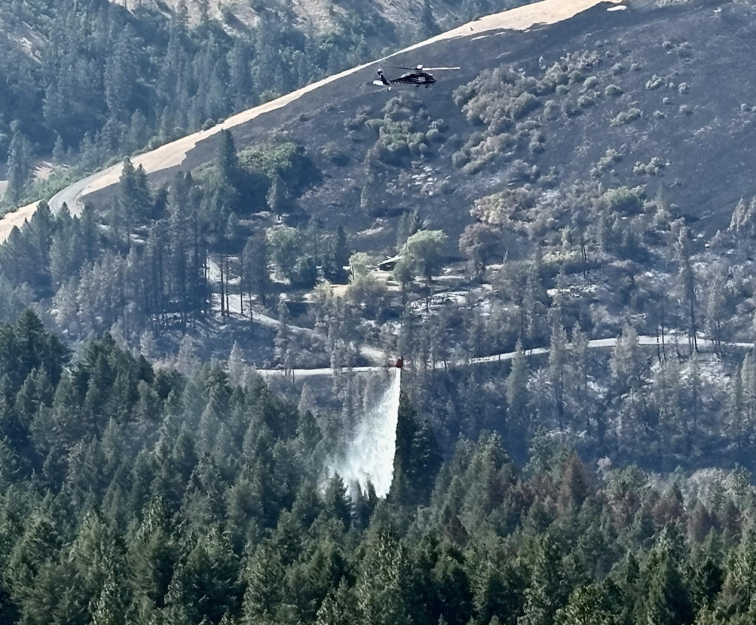 Helicopter dropping water from a bucket onto trees on the edge of a wildland fire.