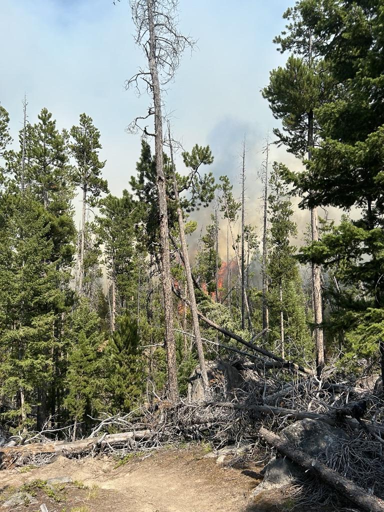 forest fuels with flames and smoke billowing below a clear blue sky
