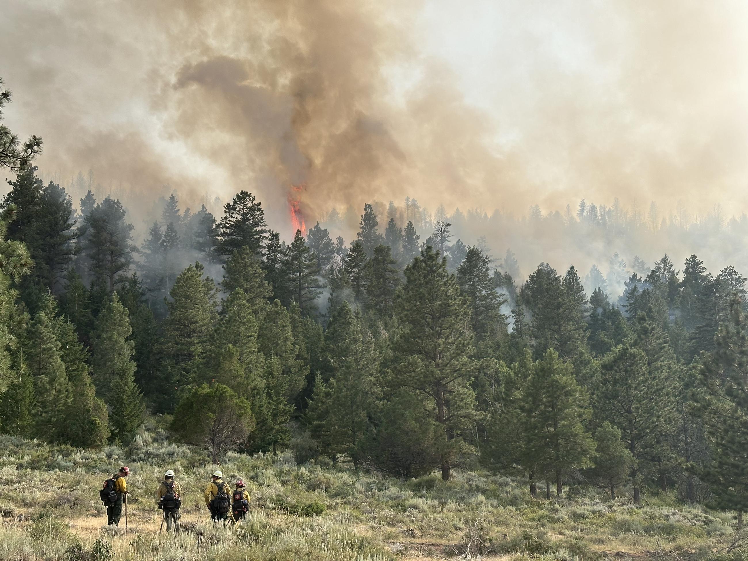 Firefighting resources supporting firing operations on the northwest portion of the incident.