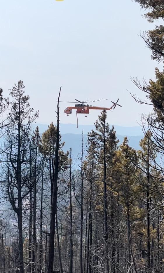 A large orange helicopter with a snorkel underneath flies over burned and unburned trees in a forest setting.