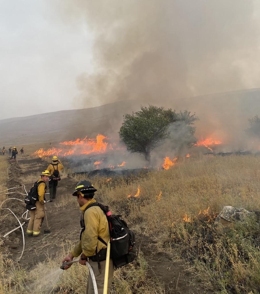 Firefighters lay hose on the Butler Creek Fire 