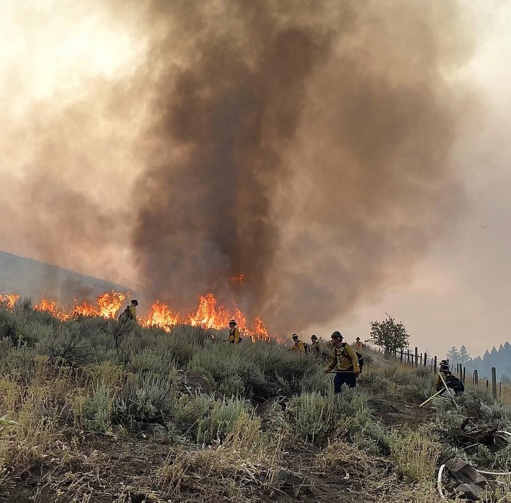 Firefighters digging hand line on the Butler Creek Fire 