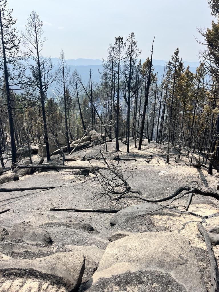 Burned area of the fire, showing little ground vegetation and some burned trees and some unburned trees.  Large boulders dominate the foreground. Smoky skies in the background
