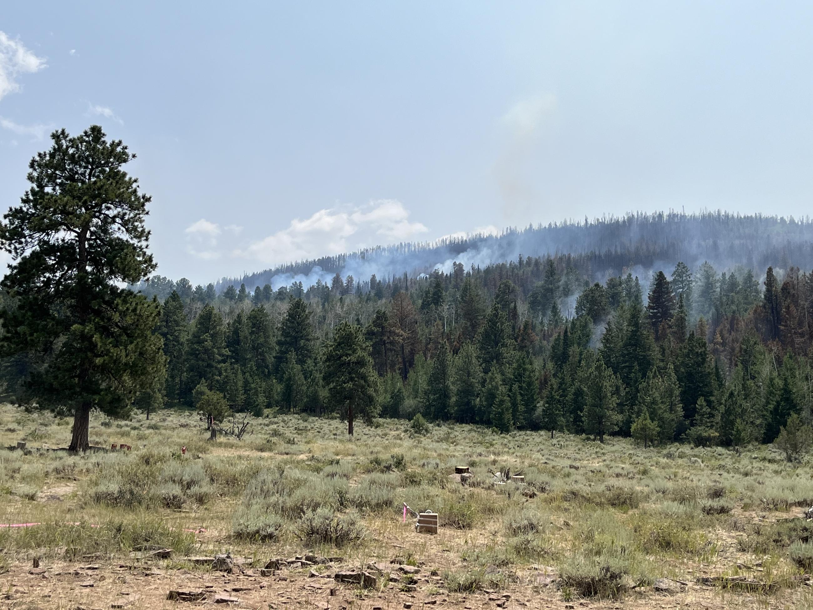 Firing operations in the northwest portion of the fire.