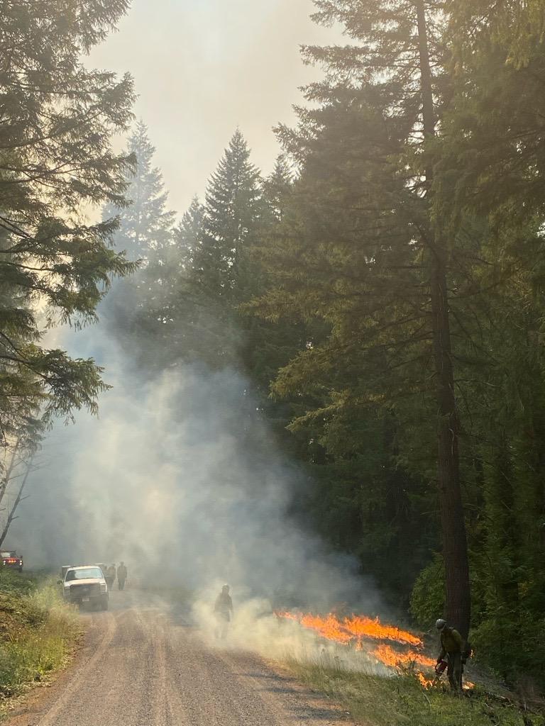 Firefighters light brush on fire along and edge of a road to create a wider fireline on the east side of the Chalk Fire, July 27