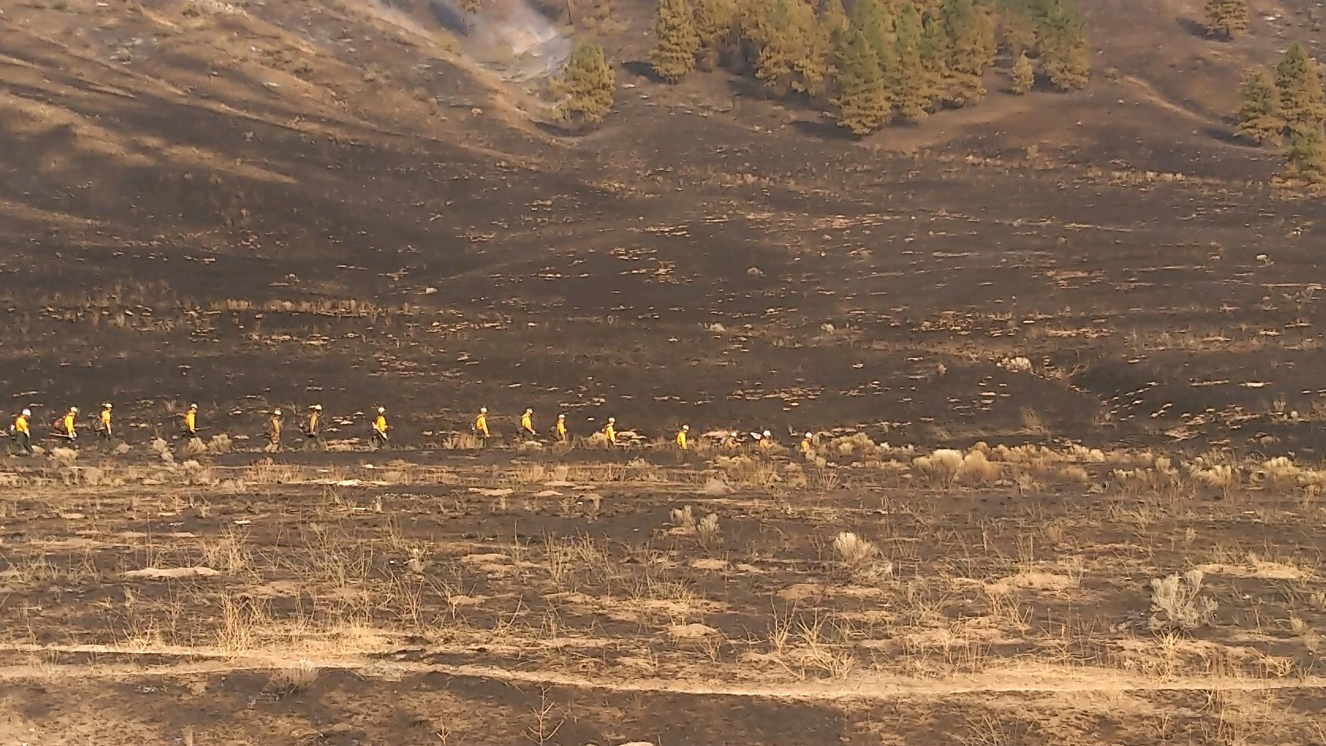 A horizontal line of people in yellow firefighting shirts is in the center, middle distance of this phot. The ground around them has been recently burned