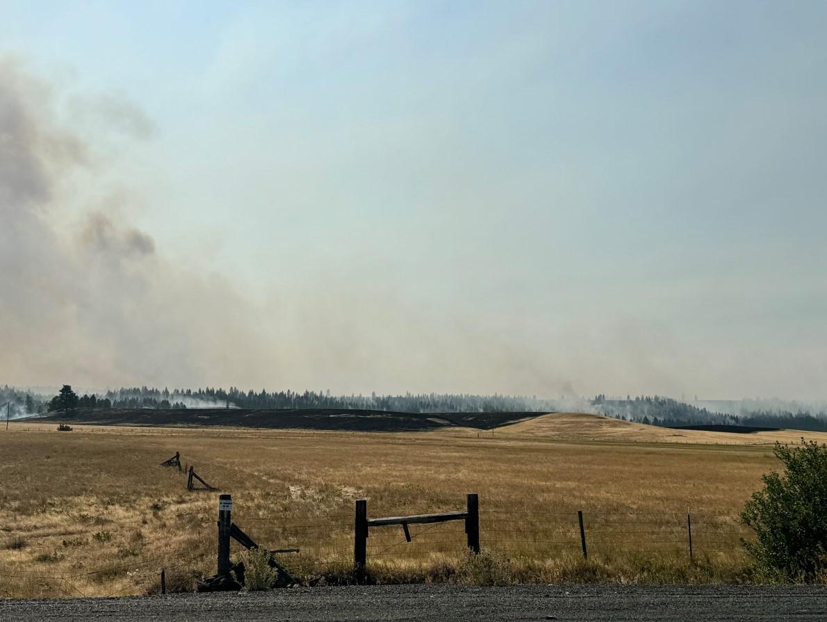 Smoke from the North Fork Owens Fire rising from a burnt field.