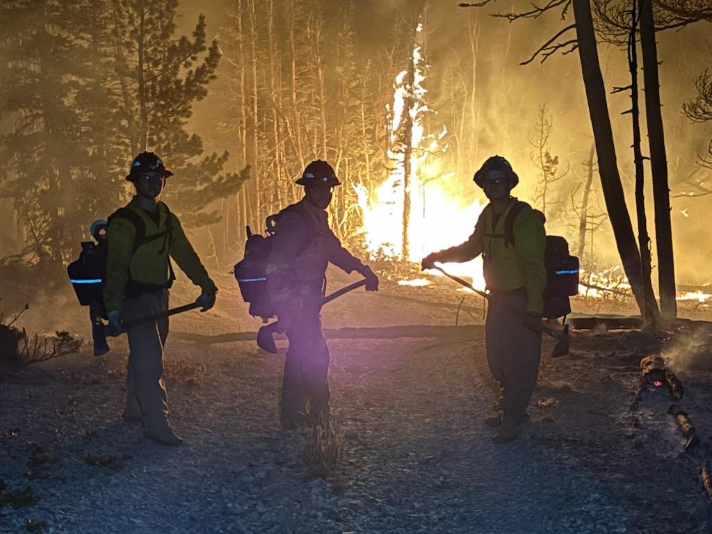 Night Operations Monitor A Burning Tree