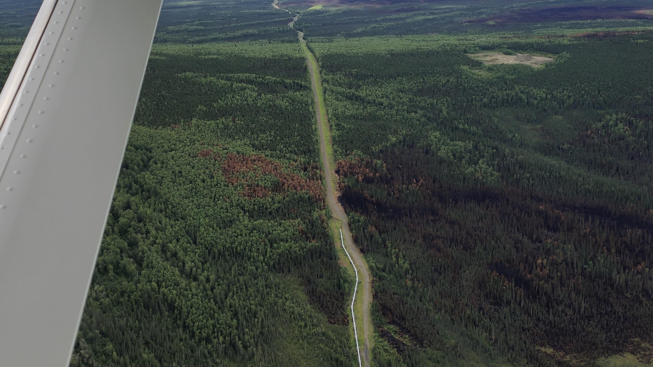 Aerial of black and rust burn along white pipeline