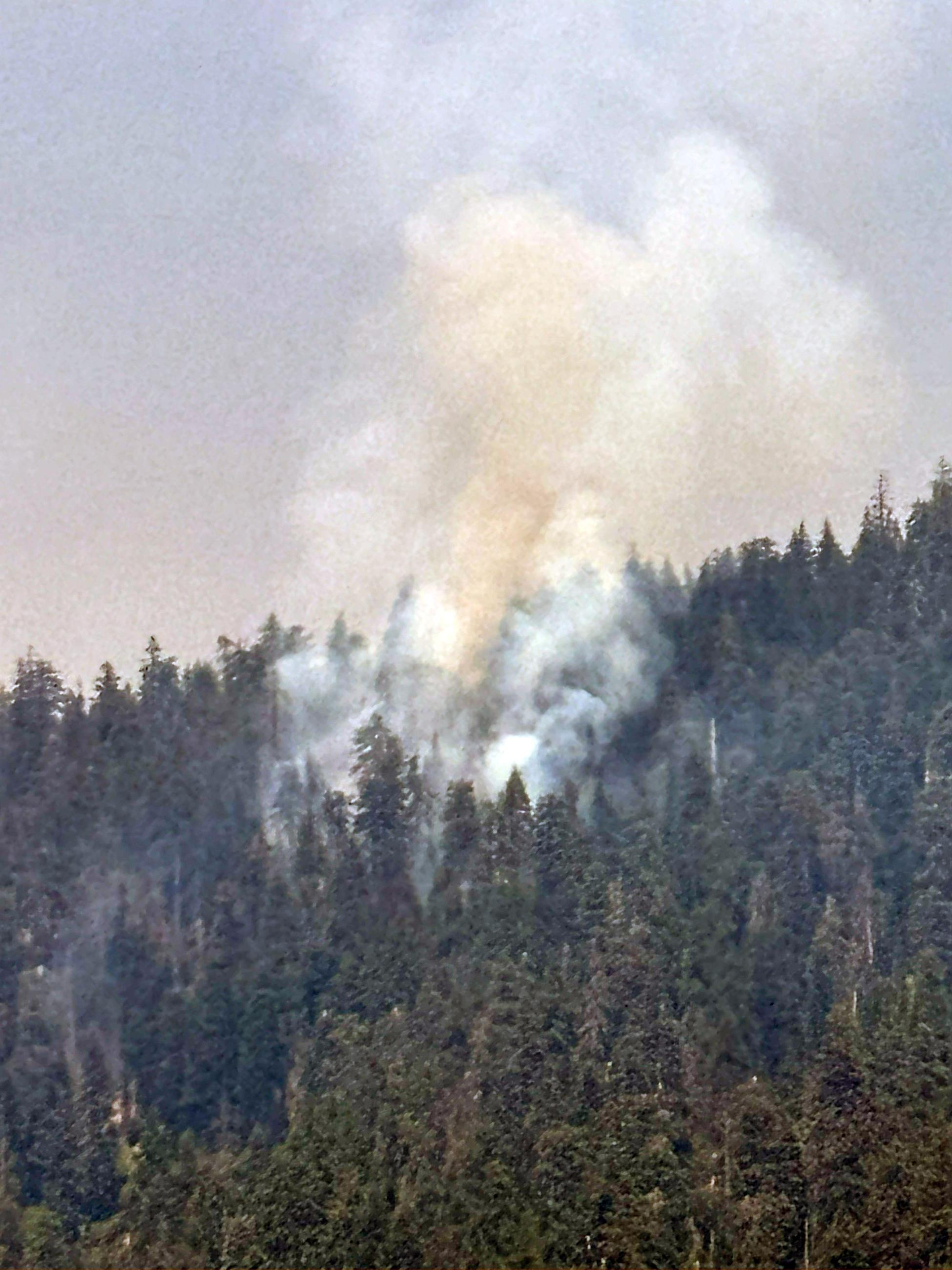 Photo of Fuller Lake Fire, part of Homestead Complex