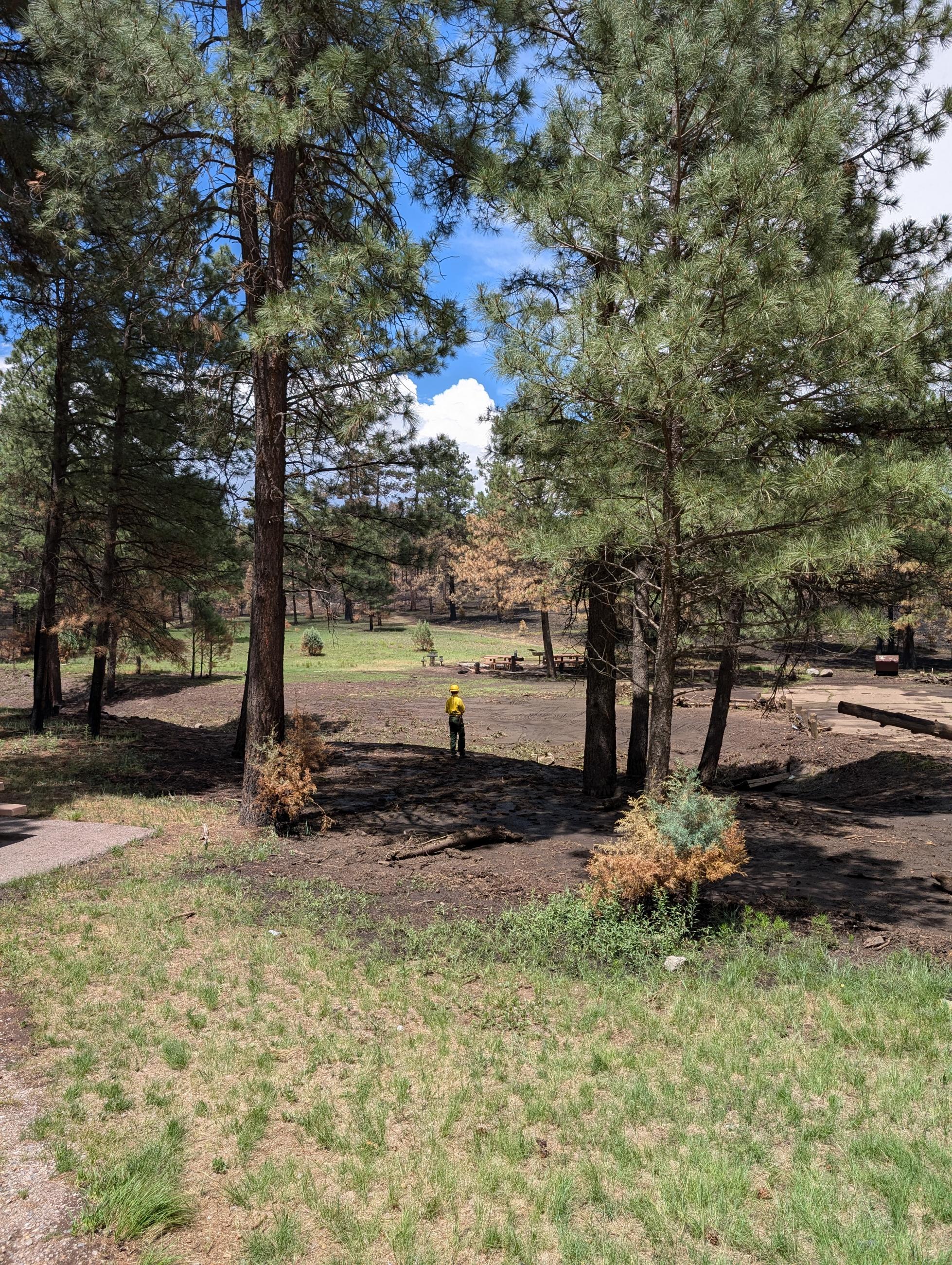 Image showing a BAER Hydrologist Evaluating burned recreation site in the South Fork burned area