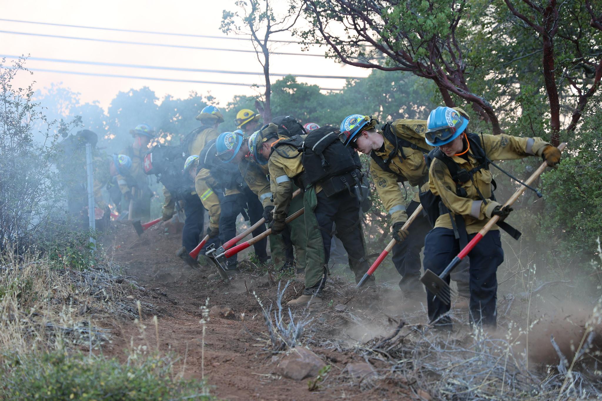 A group of roughly 10 firefighters clears vegetation using hand tools like rakes.