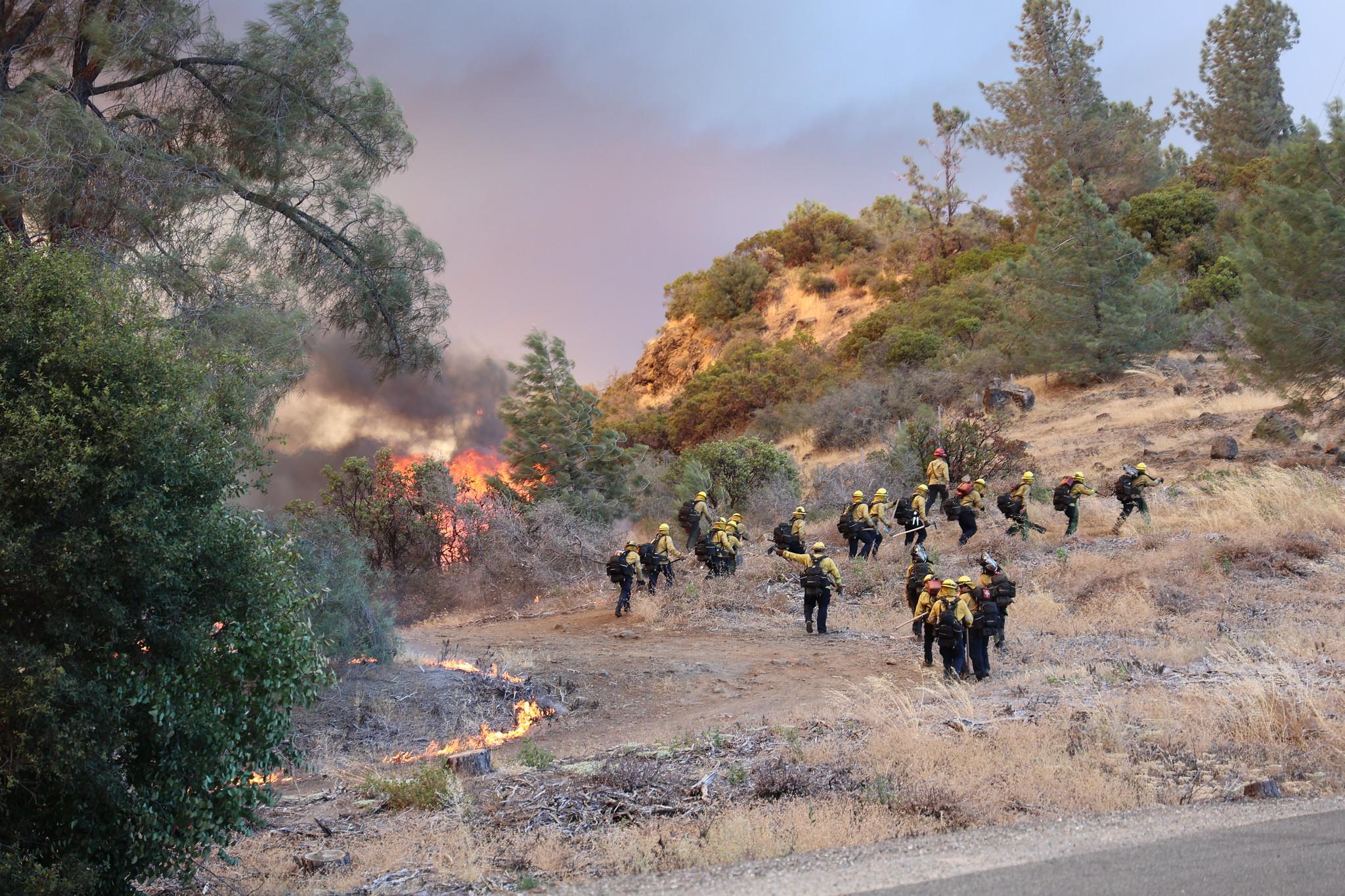 20 firefighters in hard hats and backpacks climb a hillside of grass and trees. The grass and trees to the left of the firefighters is burning.