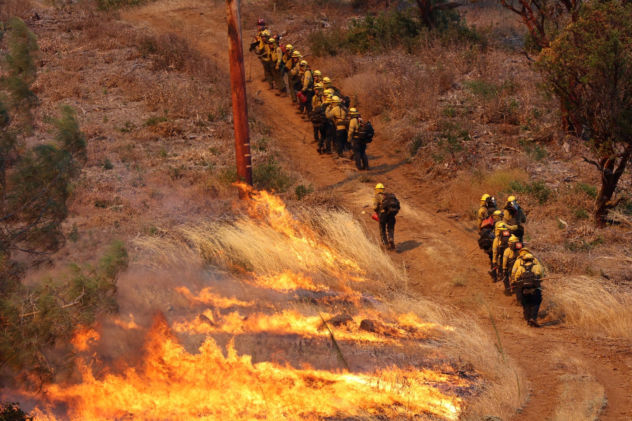 A line of firefighters ascends a hill next to burning grass. One of the firefighters carries a burning drip torch.