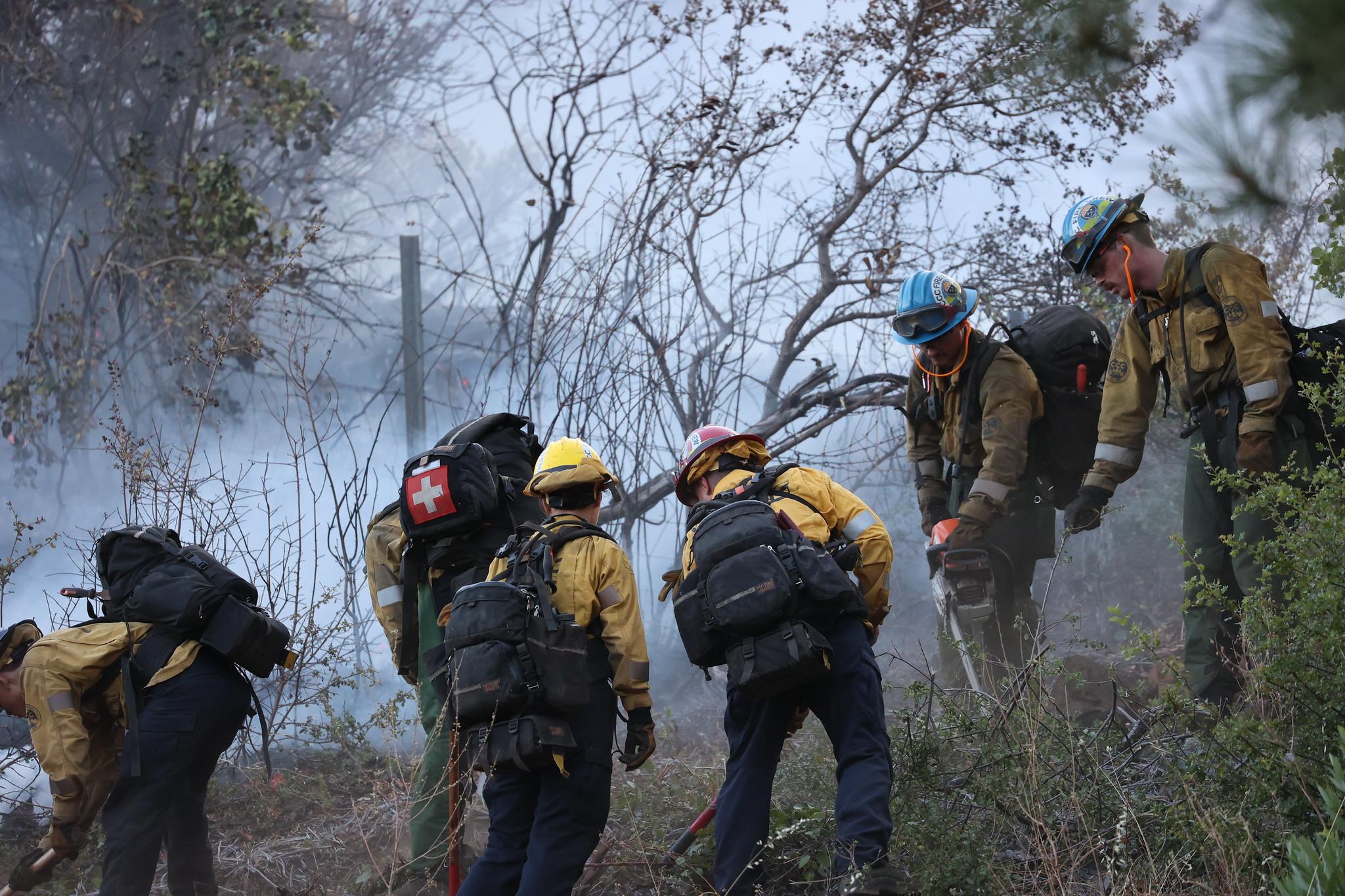 Six firefighters use tools like rakes and chainsaws to clear brush from the ground.