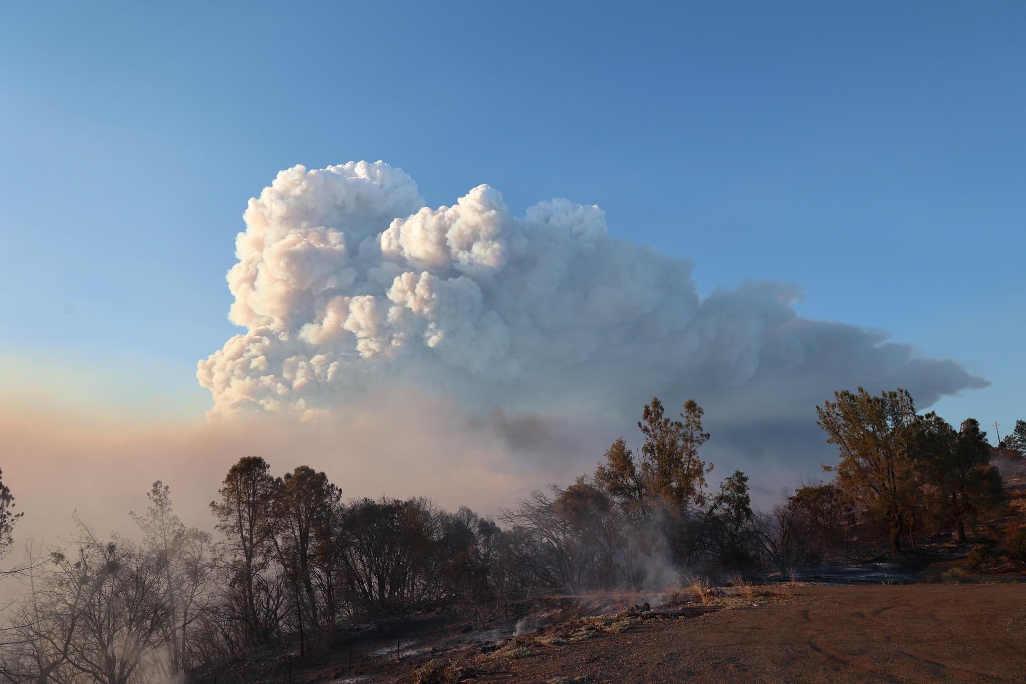 A large cloud of smoke rises above trees and smoldering ground.