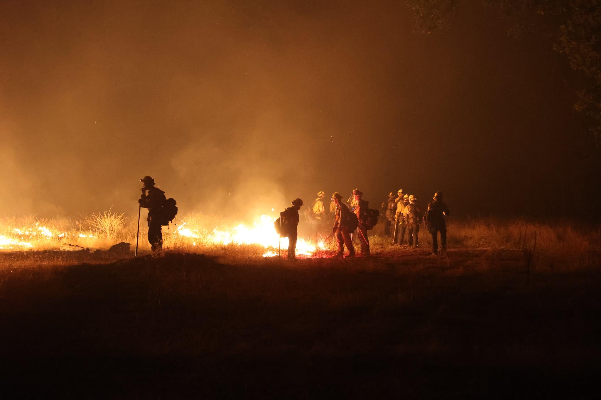 A dozen firefighters stand in a grassy field next to orange flames.