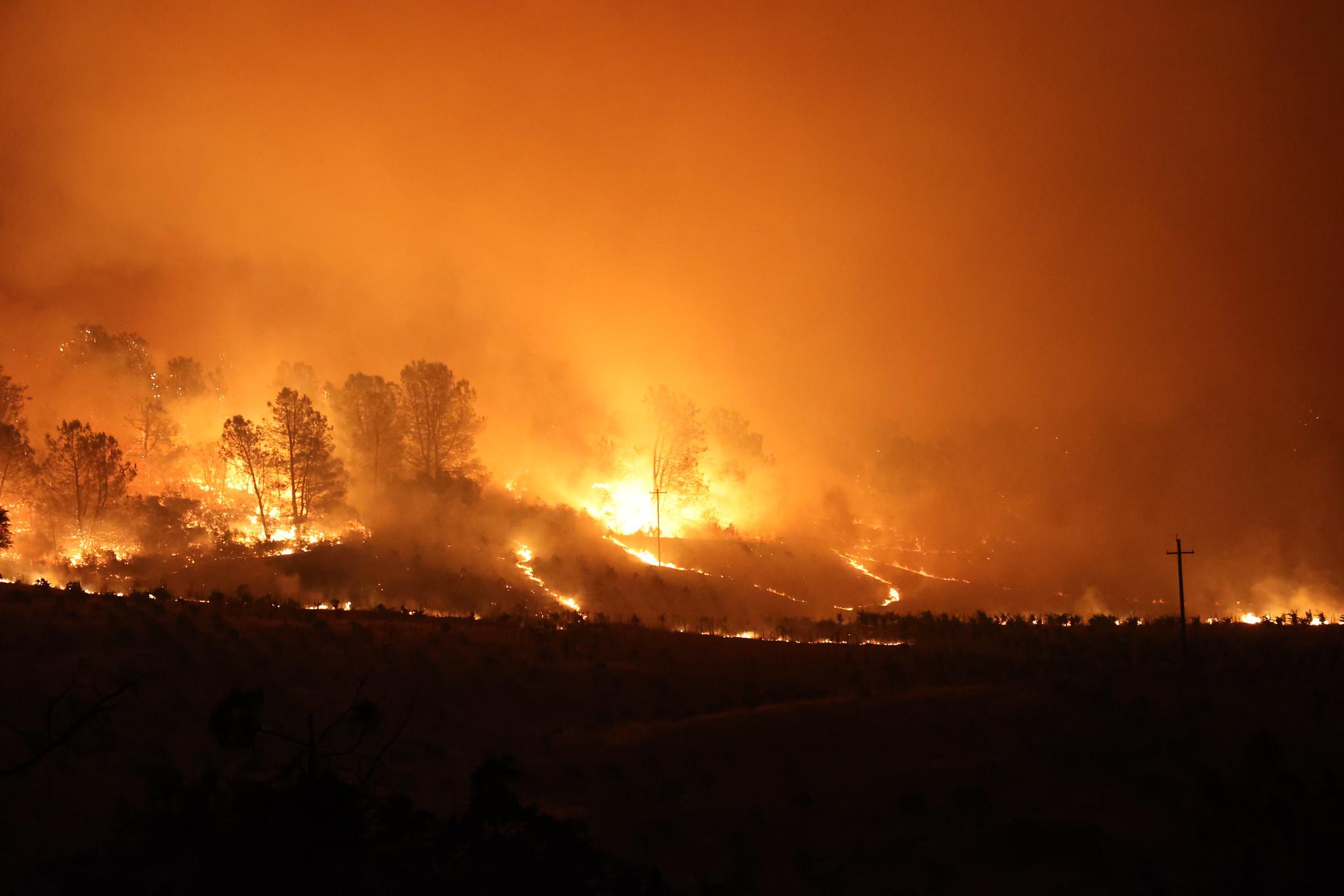 Flames engulf a hillside covered with grass and trees. Flames and smoke turn the night sky orange.