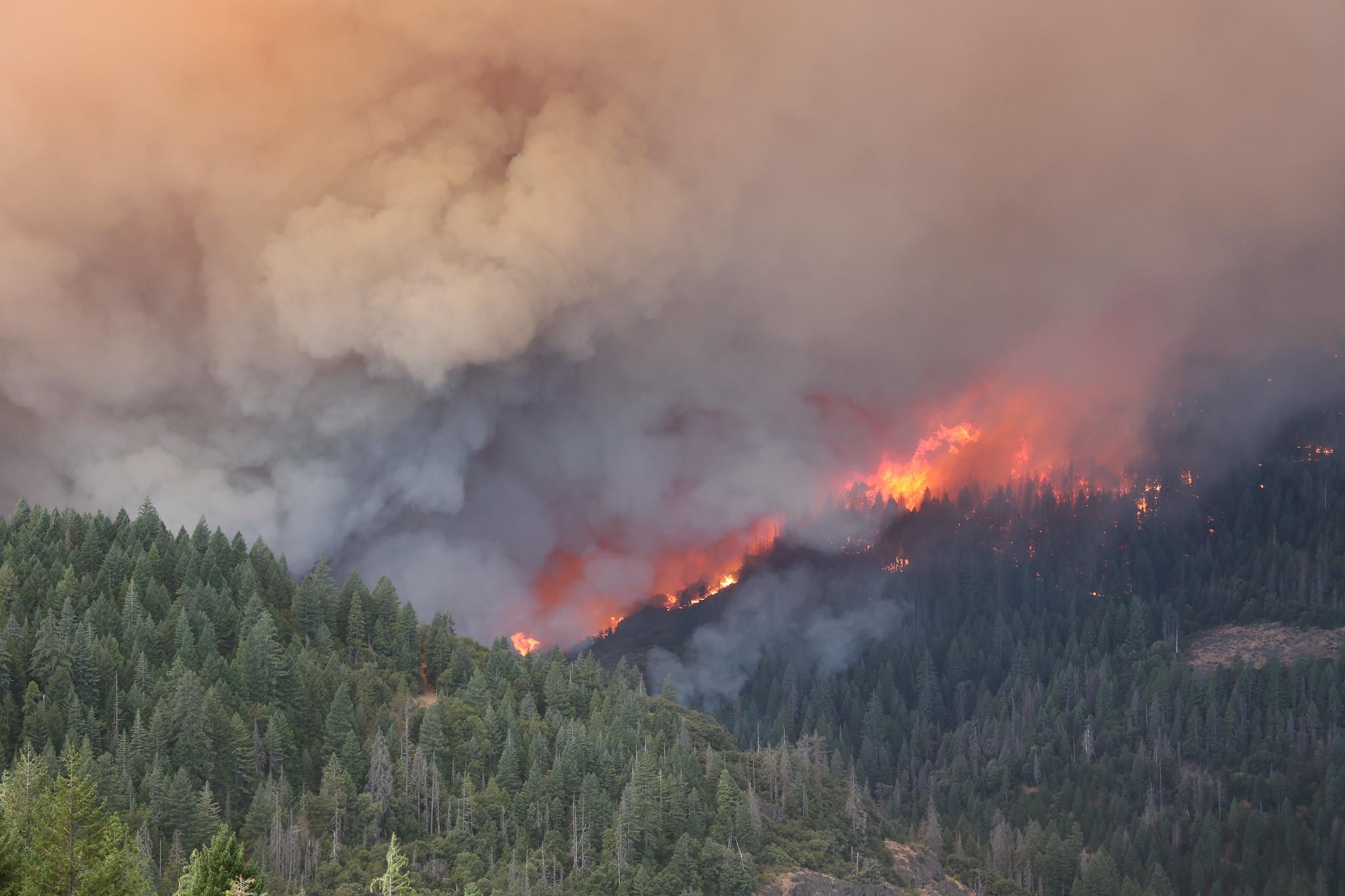 Smoke and flames erupt from tree-covered hills.