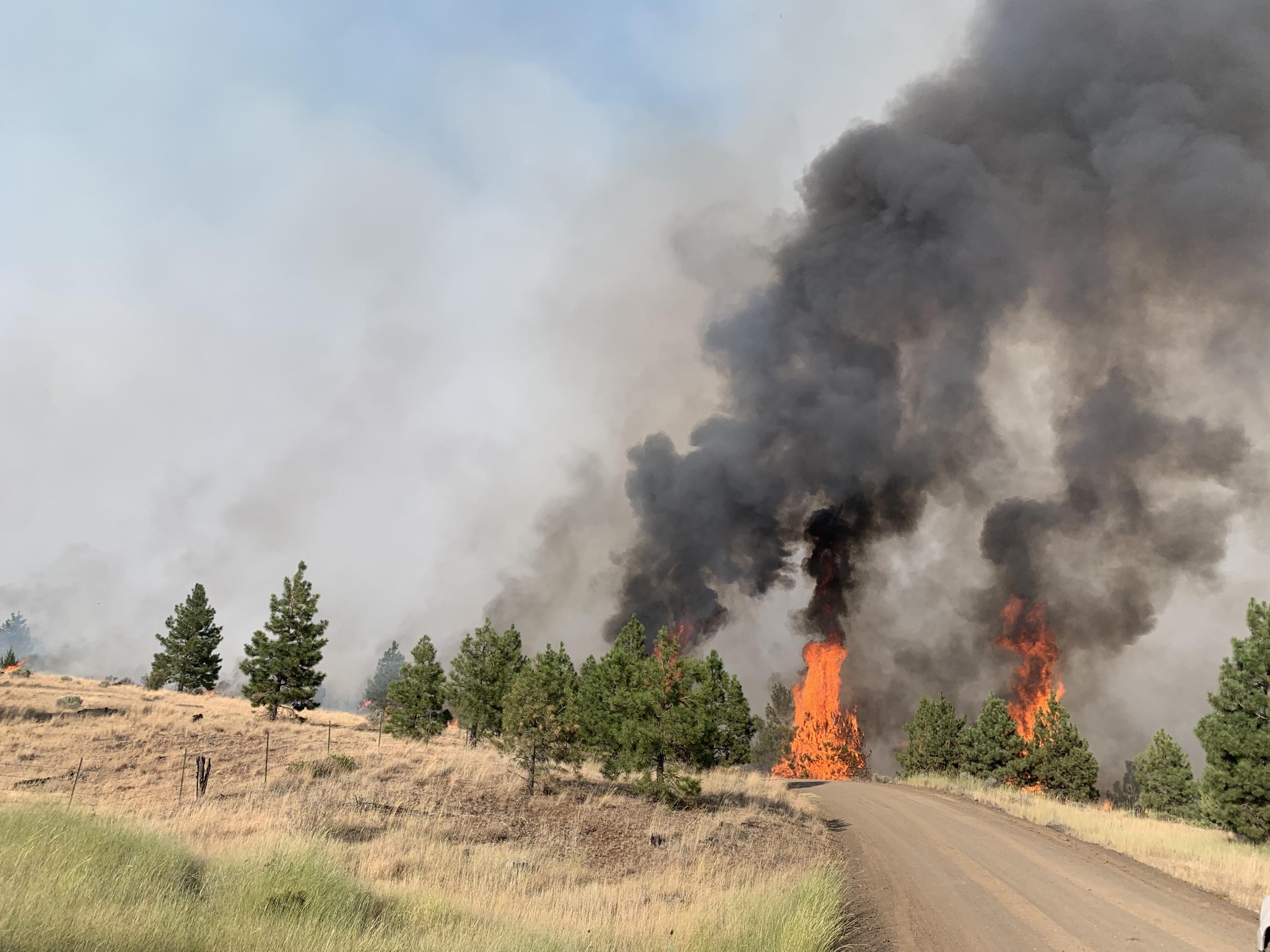 Fire Behavior on the Lone Rock Fire 