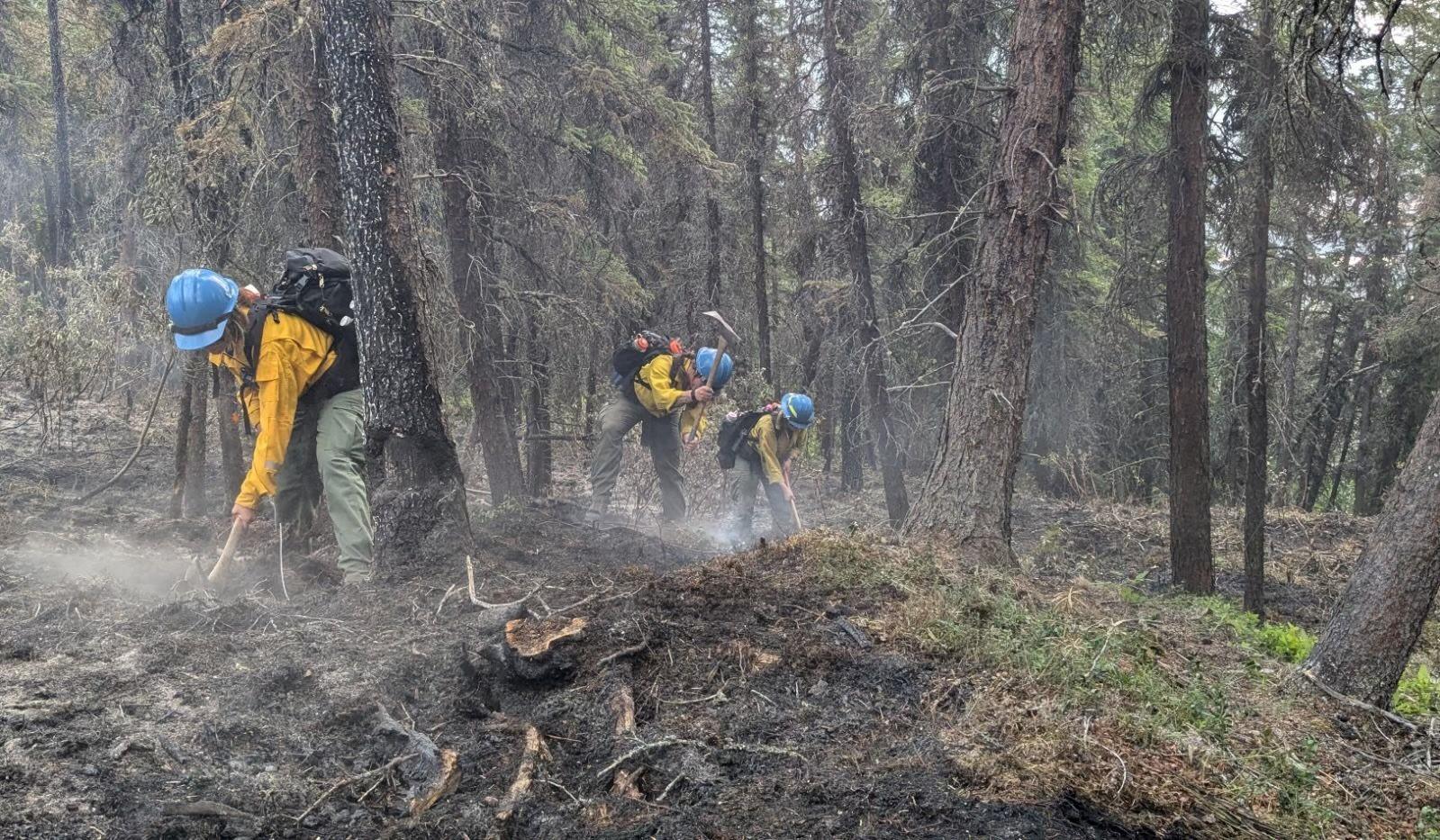 Firefighters use tools on a fireline.