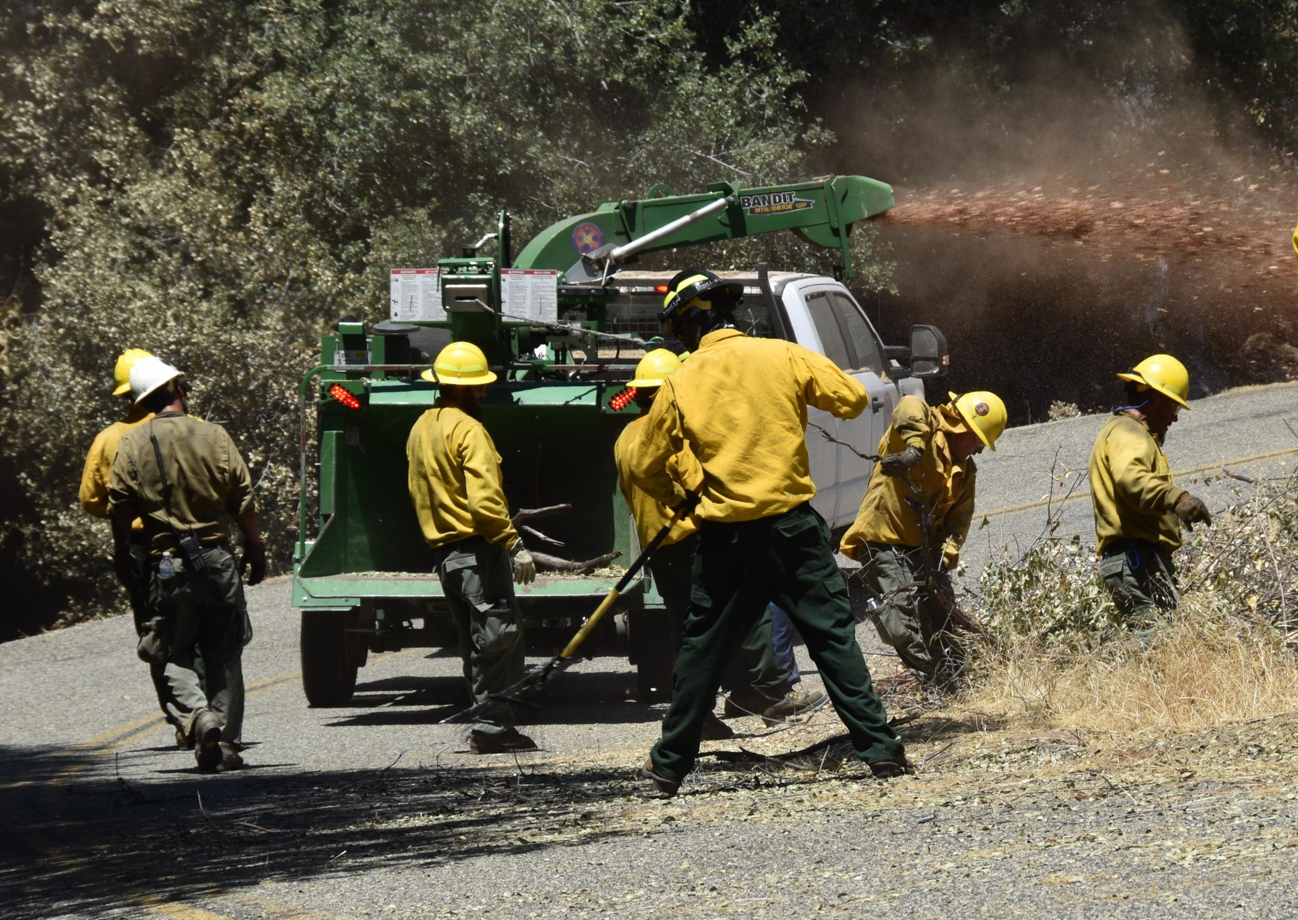 A group of firefighters are feeding brush into a large chipper along the side of a road.