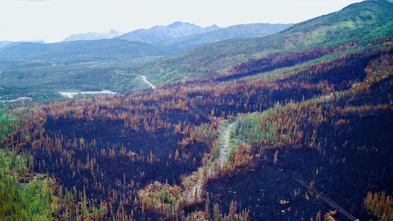 An aerial view of the Riley Fire at Denali National Park and Preserve showing the burned area, part of a river and mountains in the distance.