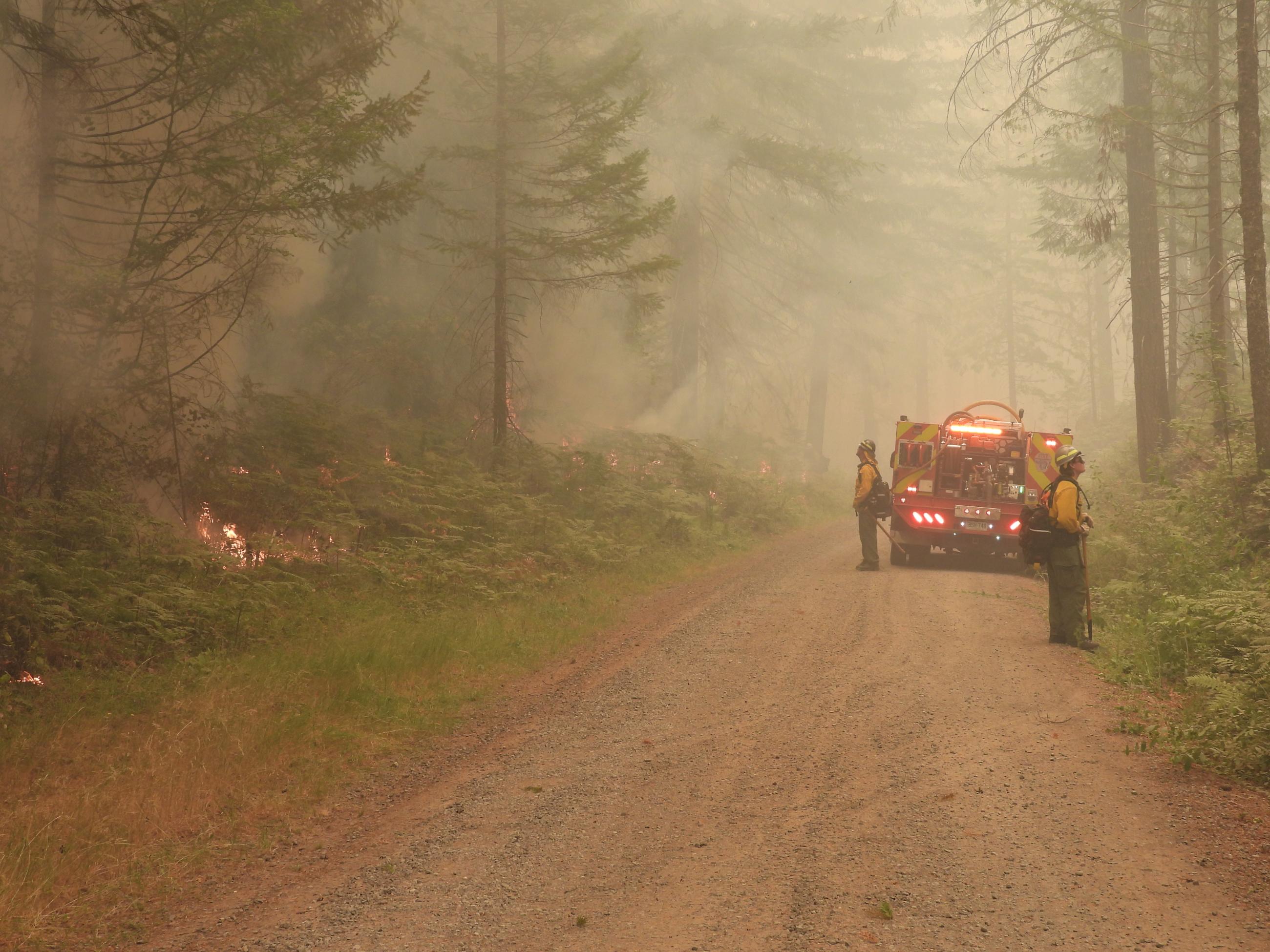 2 firefighters with an engine look in opposite directions into the woods watching for spot fires.