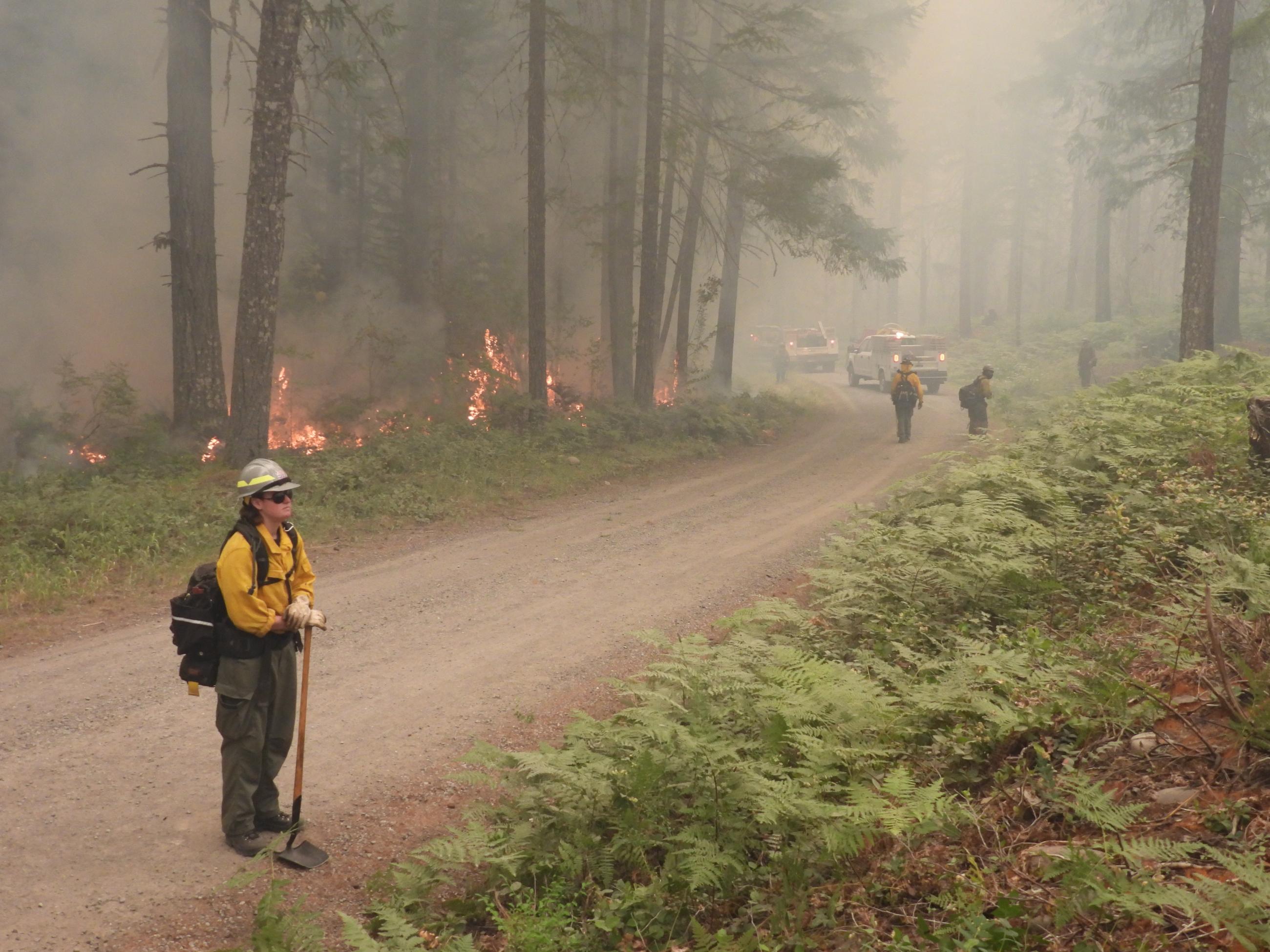 firefighters line a road looking for spot fires