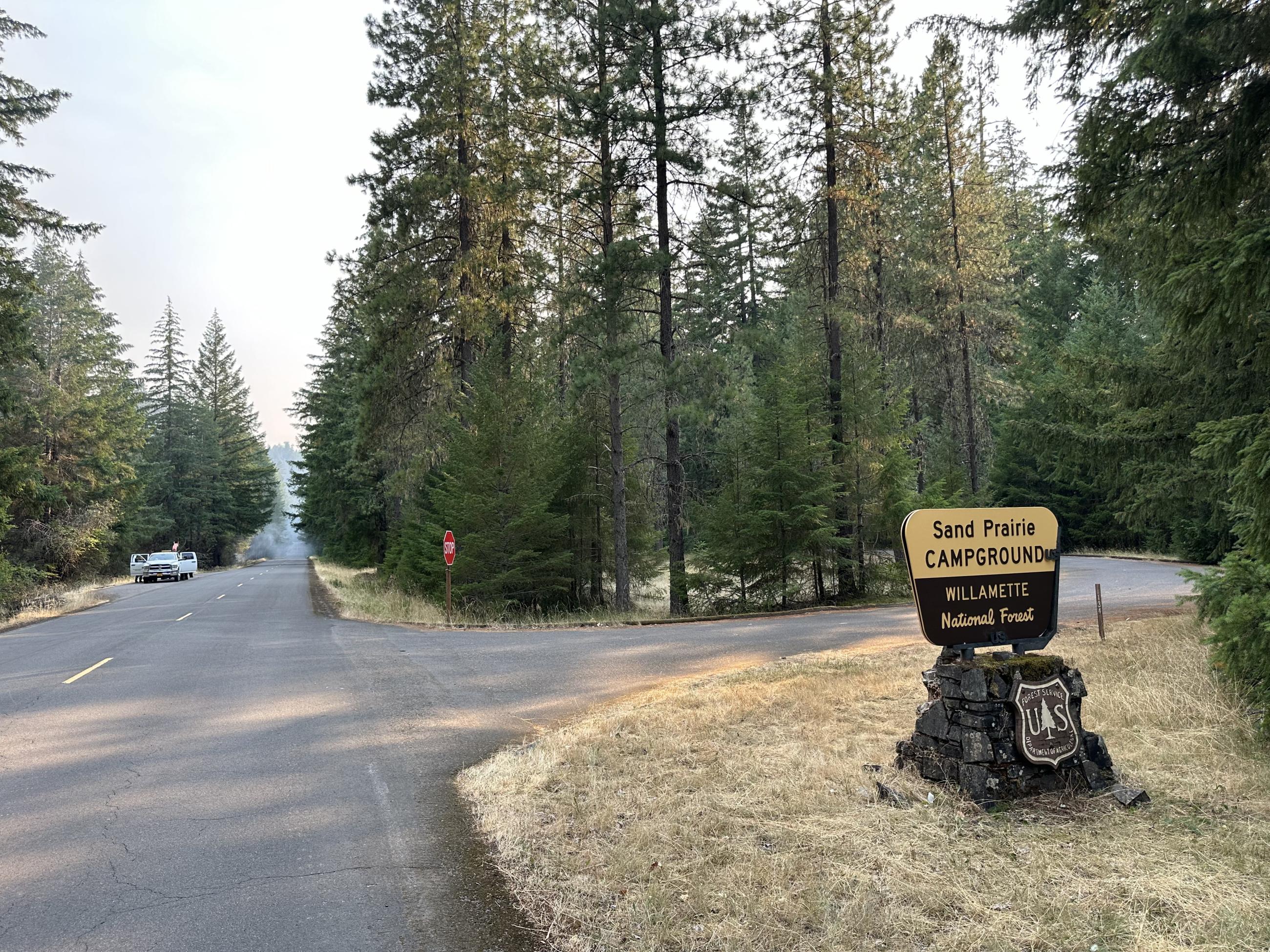 Green forest at Sand Prairie Campground, July 30