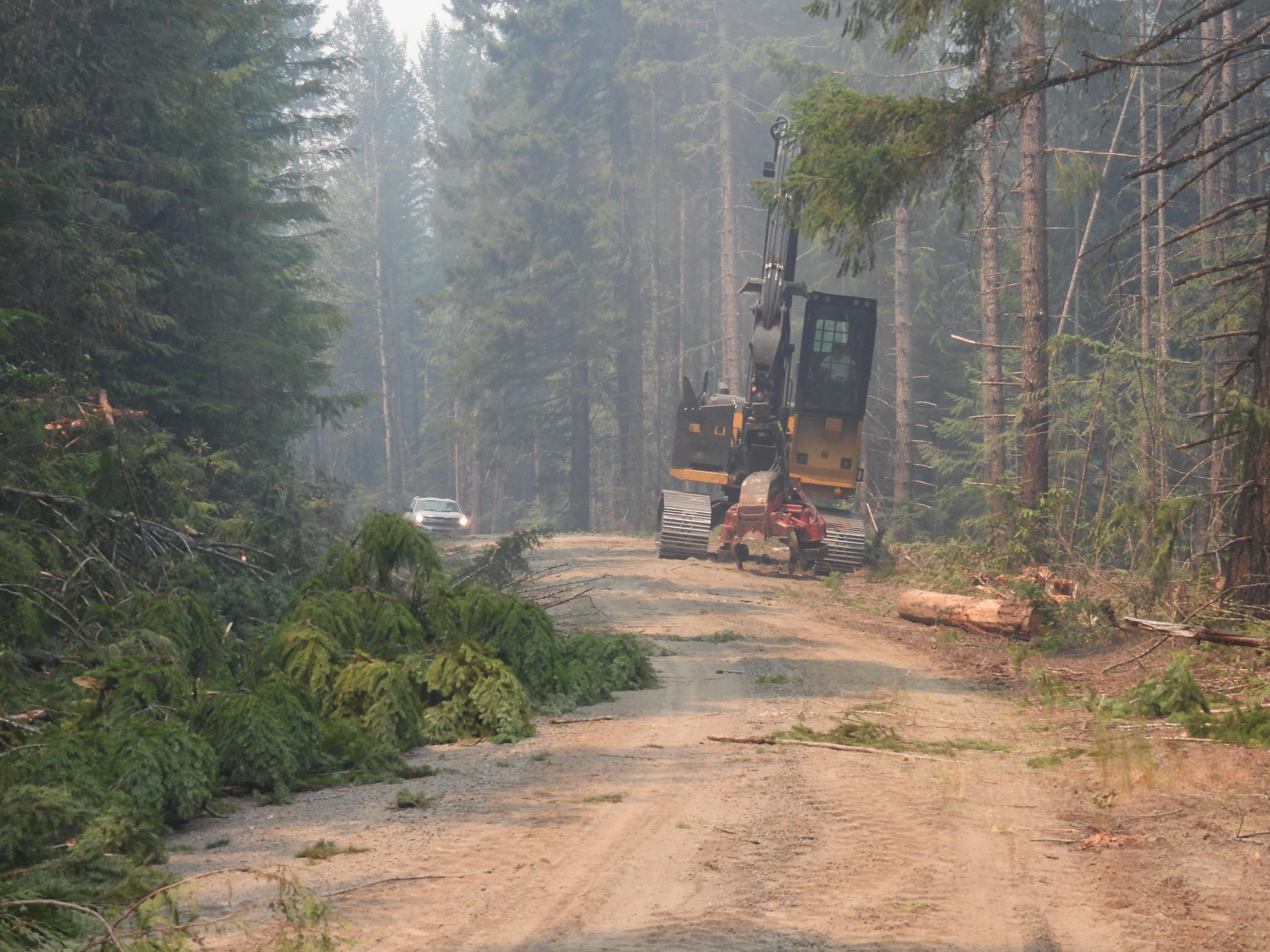 Heavy equipment cuts trees to widen firelines along road on the Coffeepot Fire, July 30